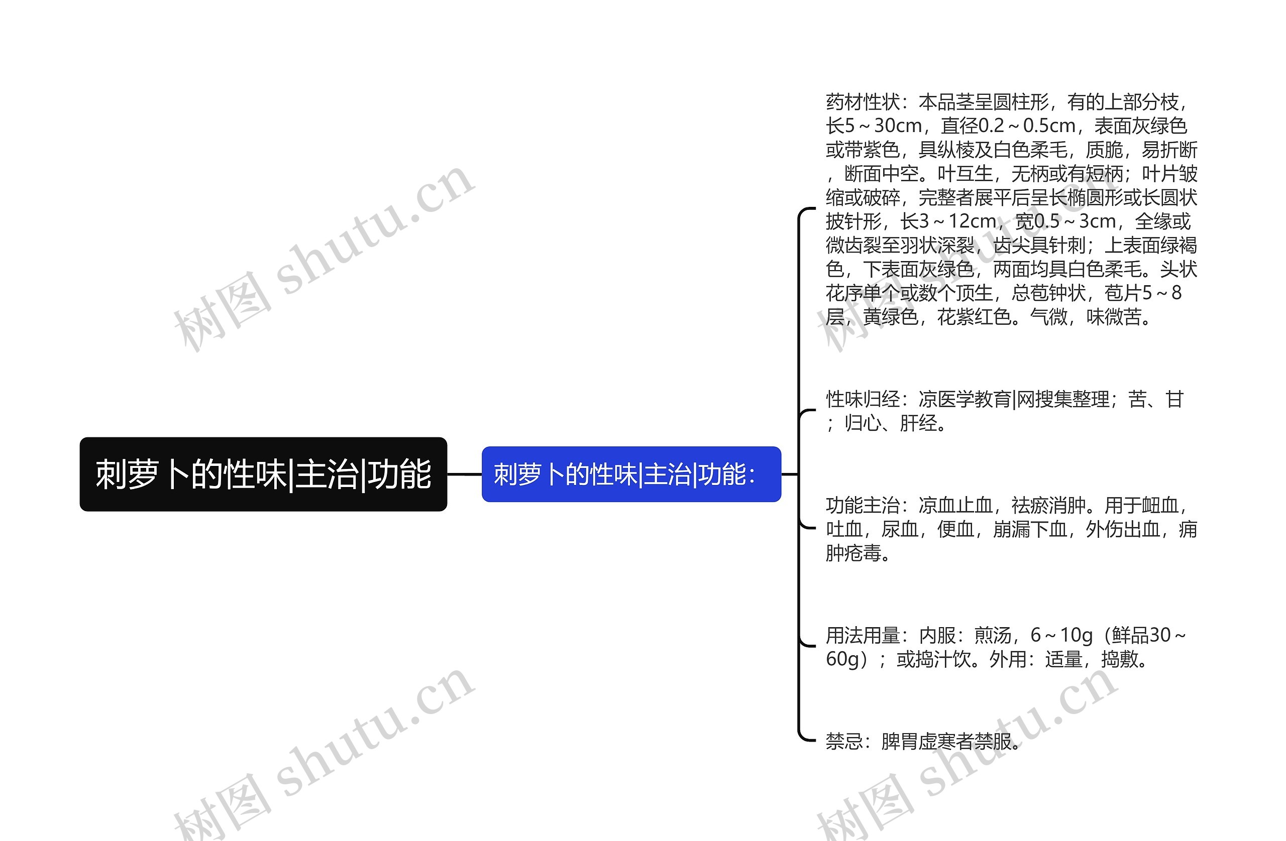 刺萝卜的性味|主治|功能思维导图