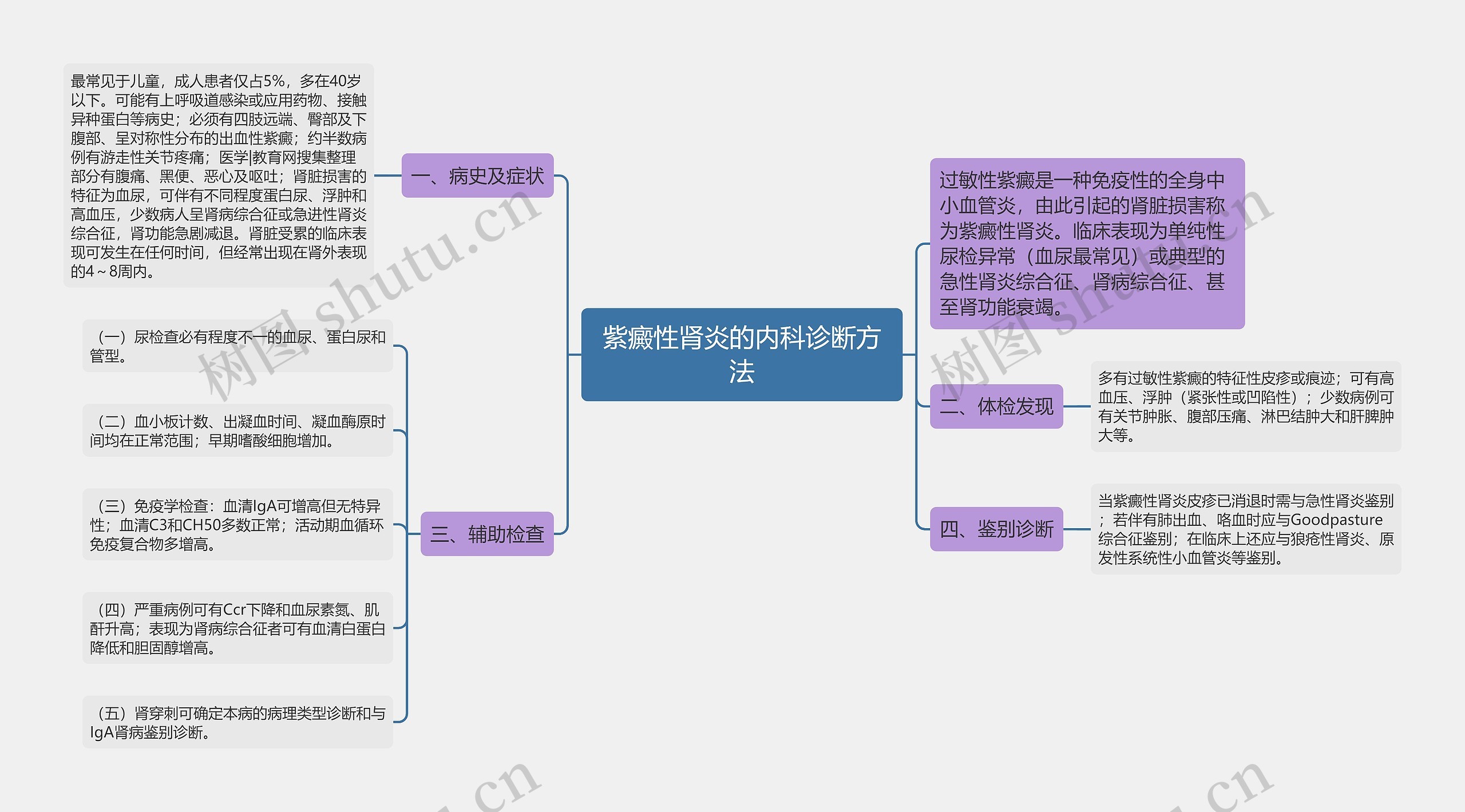 紫癜性肾炎的内科诊断方法思维导图