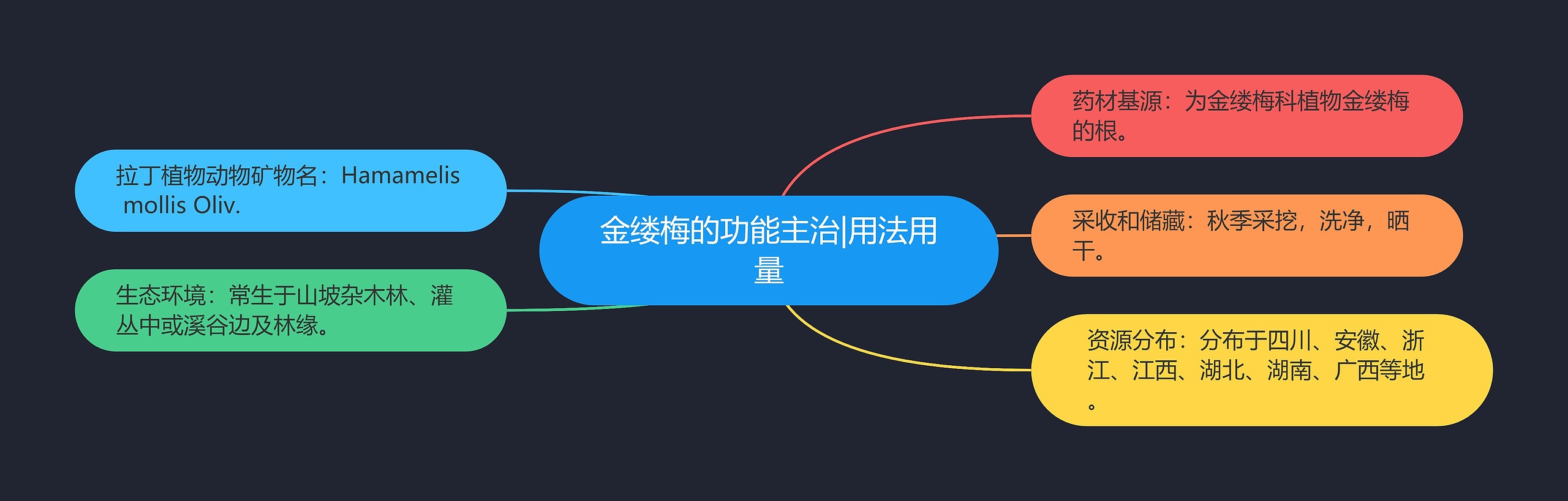 金缕梅的功能主治|用法用量 金缕梅的功能主治|用法用量