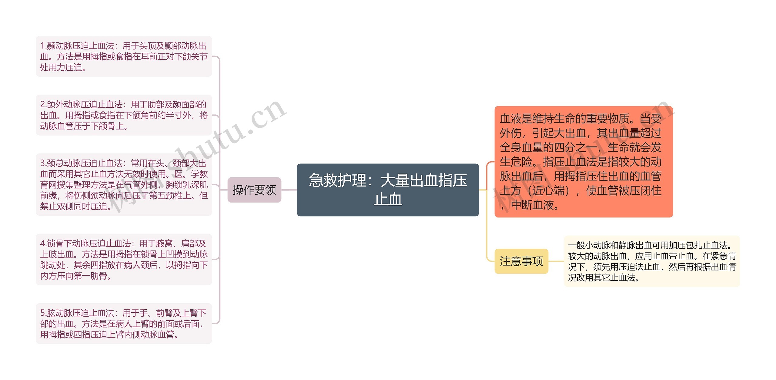 急救护理：大量出血指压止血