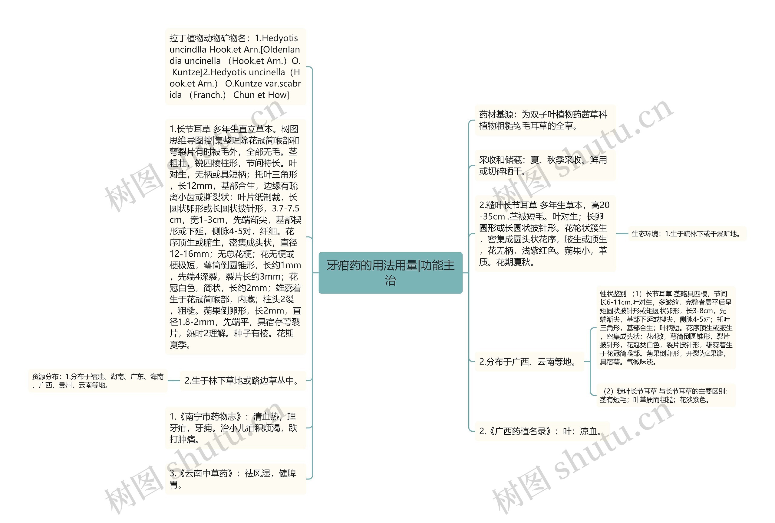 牙疳药的用法用量|功能主治思维导图