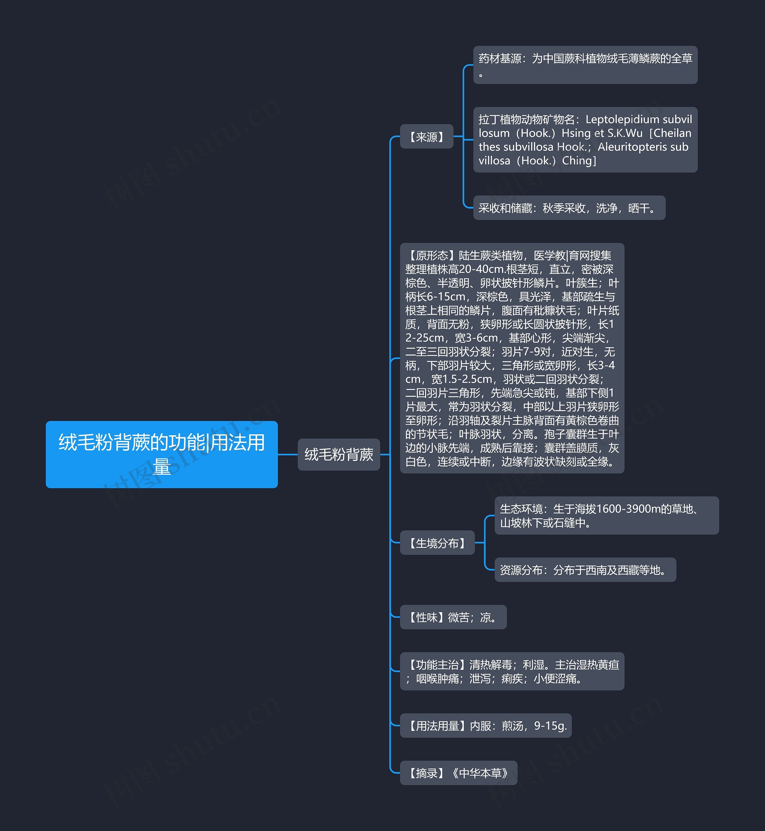 绒毛粉背蕨的功能|用法用量思维导图