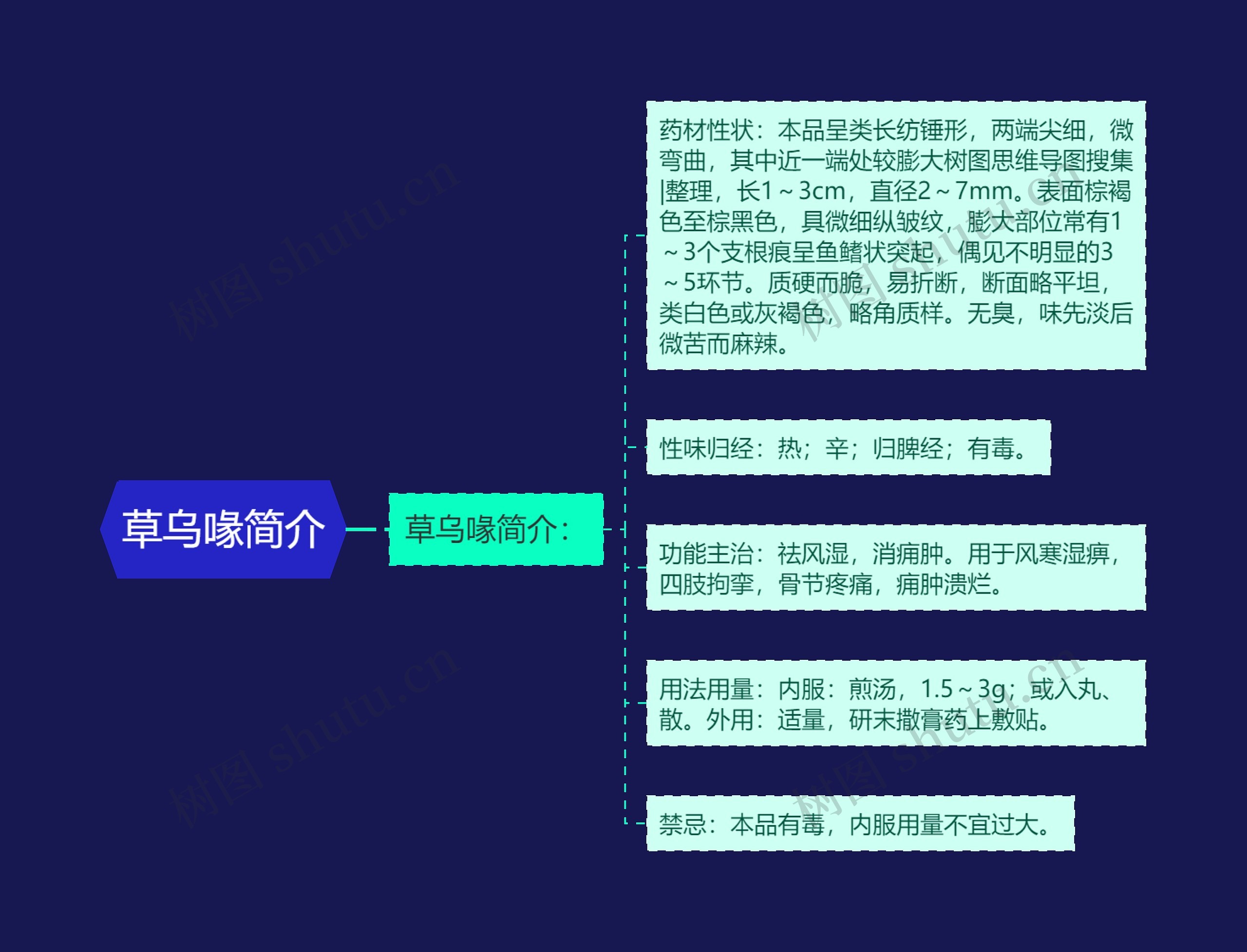 草乌喙简介 草乌喙简介