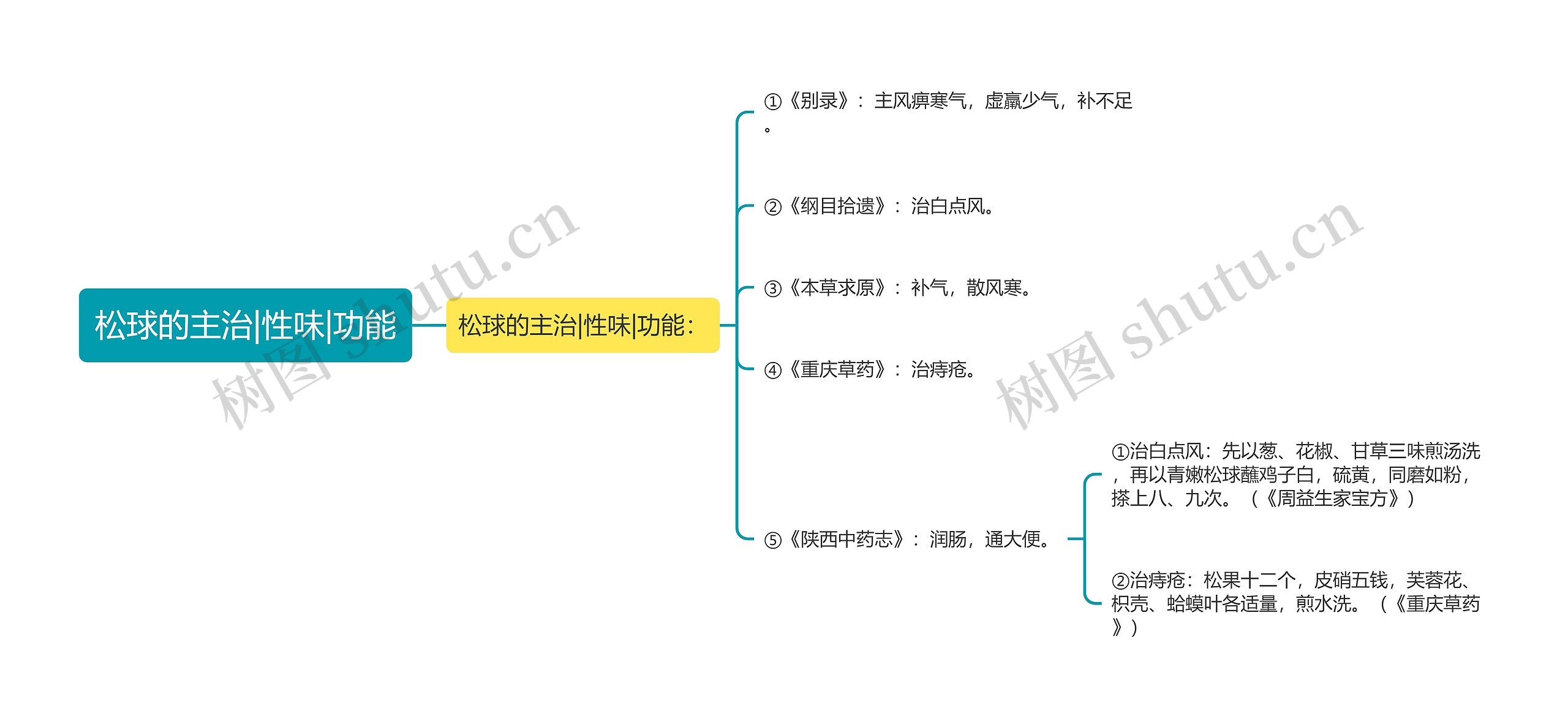 松球的主治|性味|功能思维导图