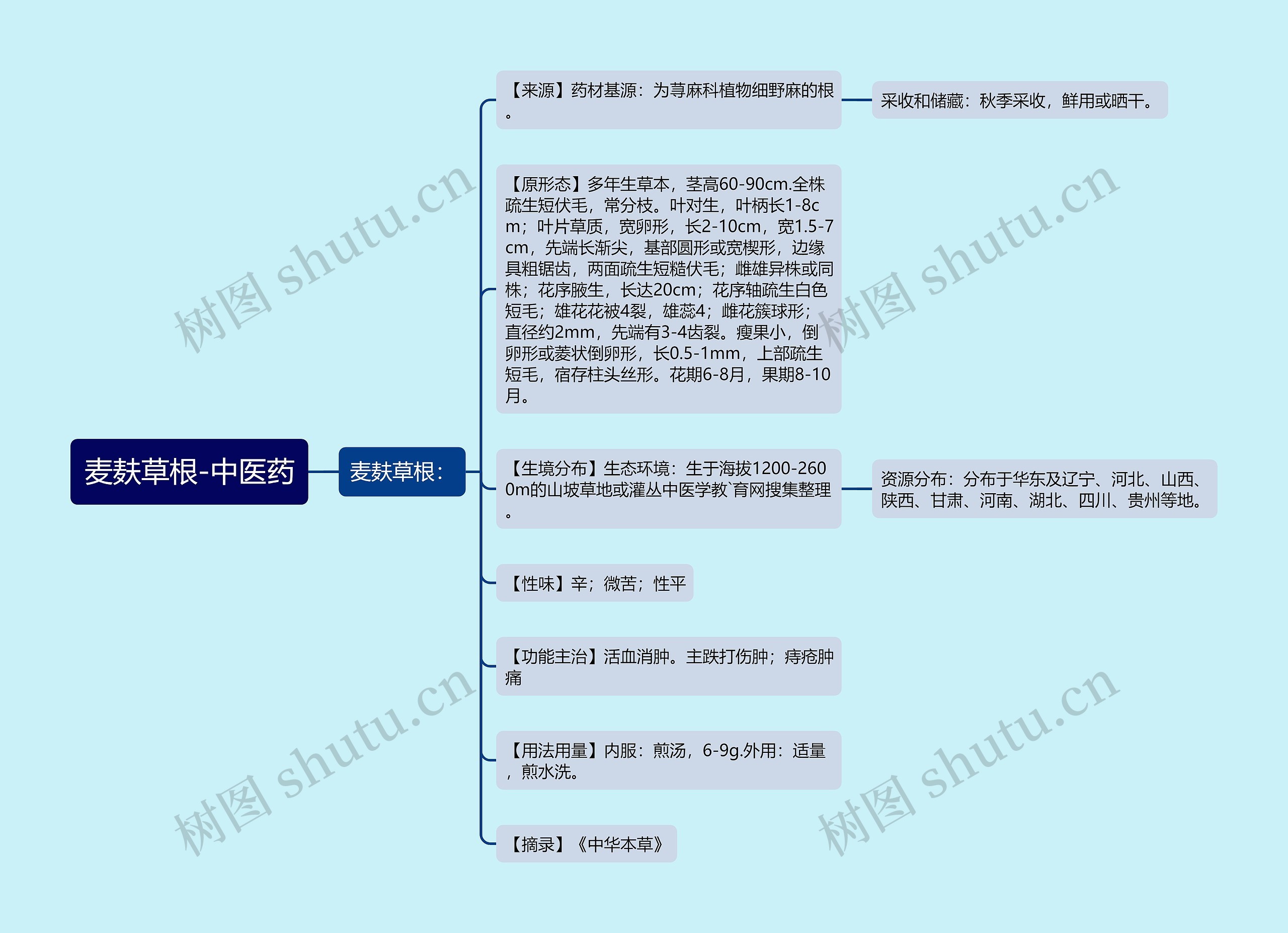 麦麸草根-中医药思维导图