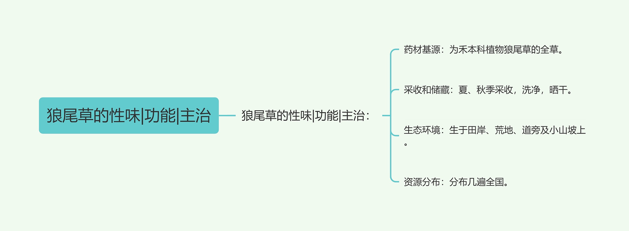 狼尾草的性味|功能|主治思维导图