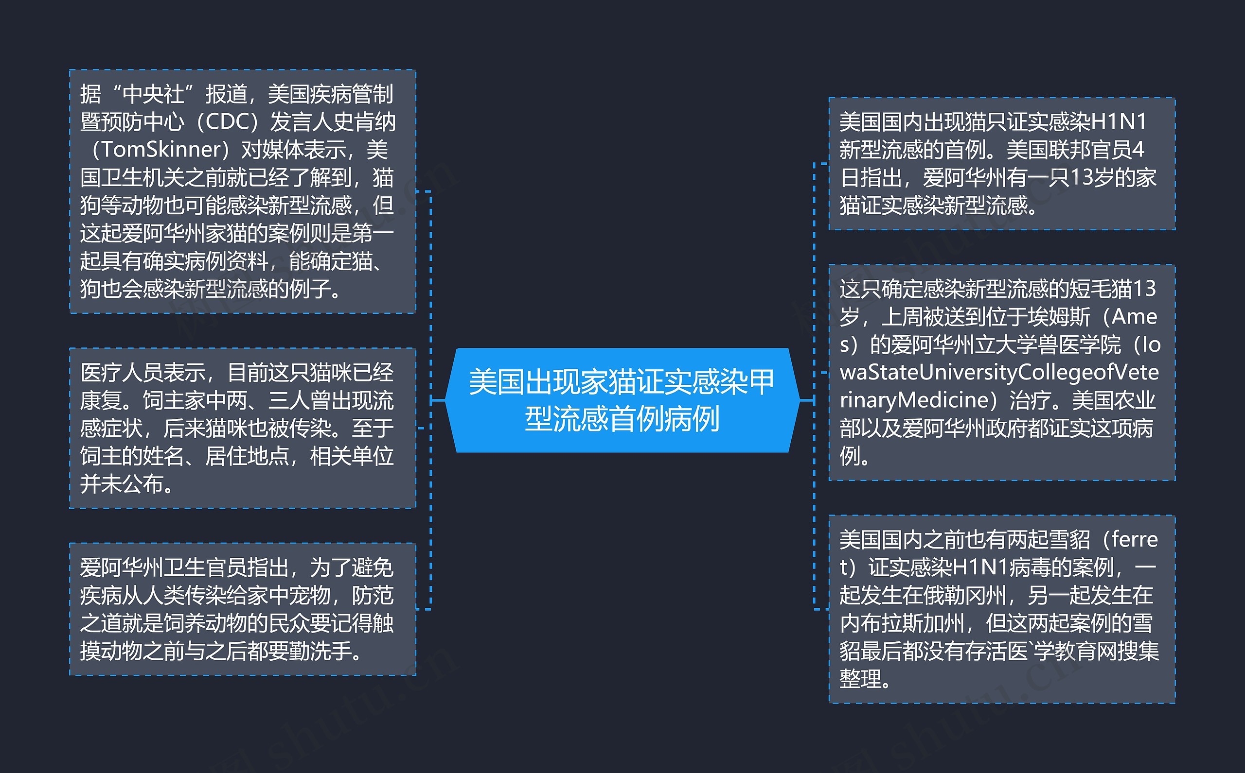 美国出现家猫证实感染甲型流感首例病例