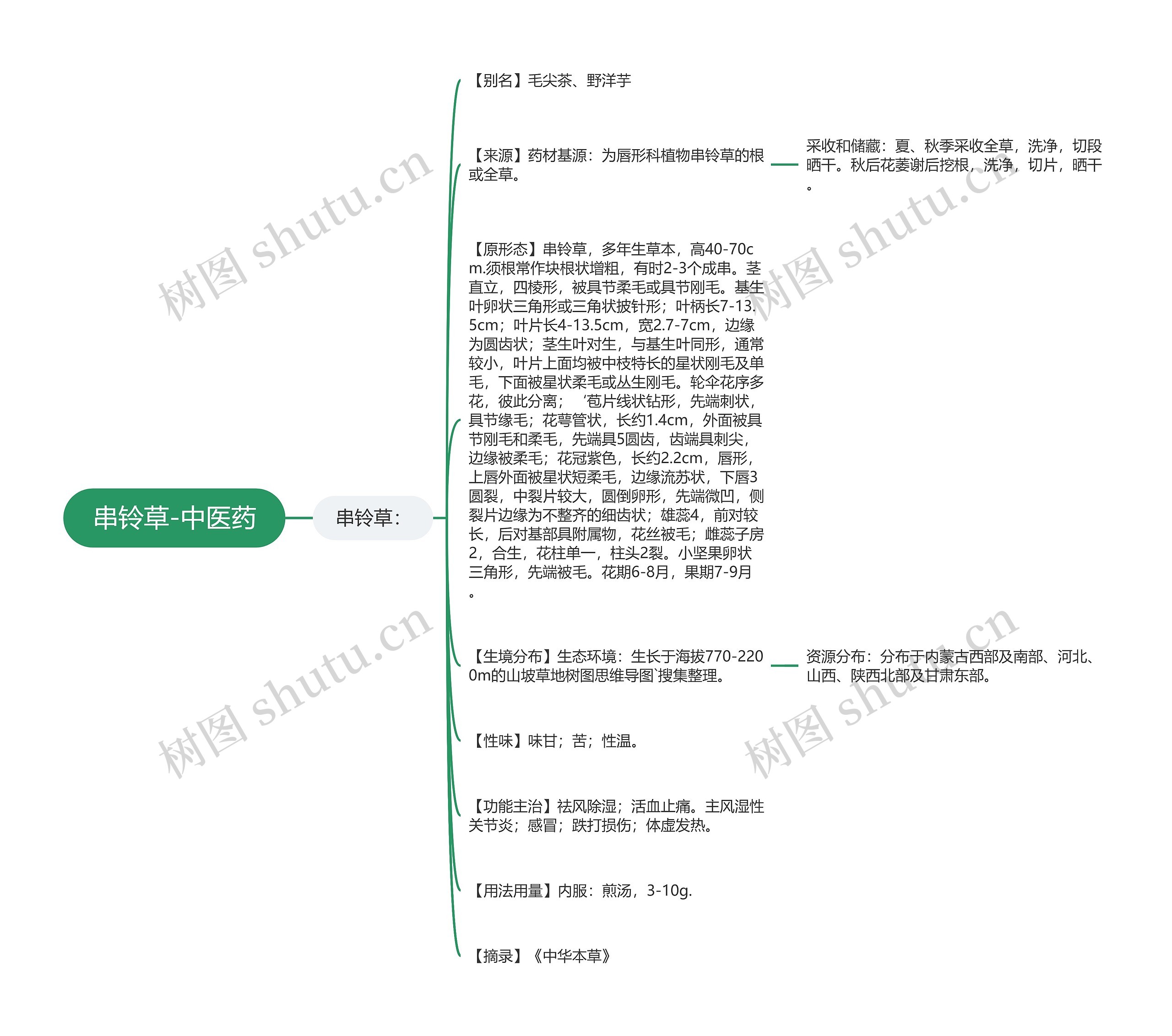 串铃草-中医药思维导图