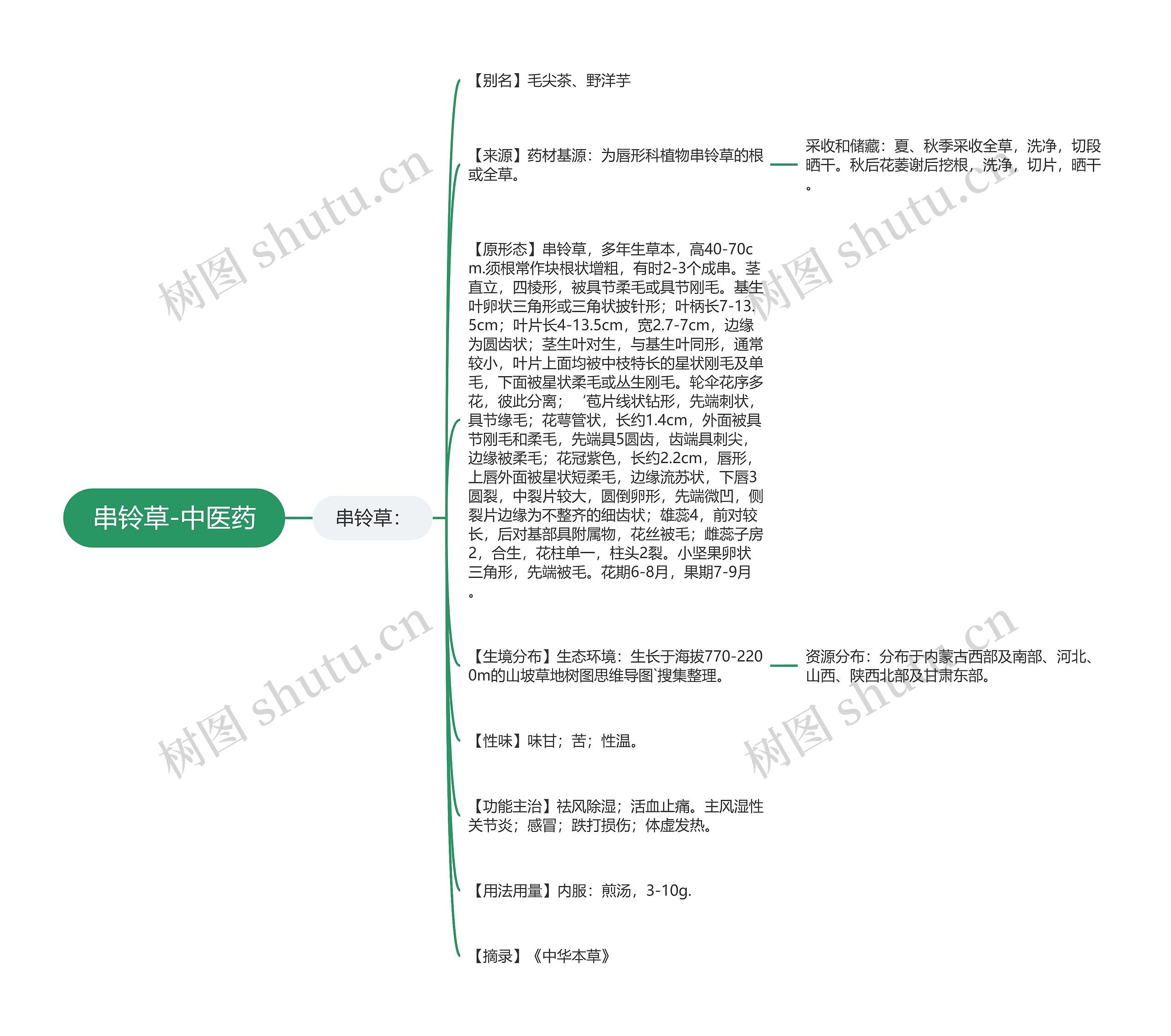 串铃草-中医药 串铃草-中医药