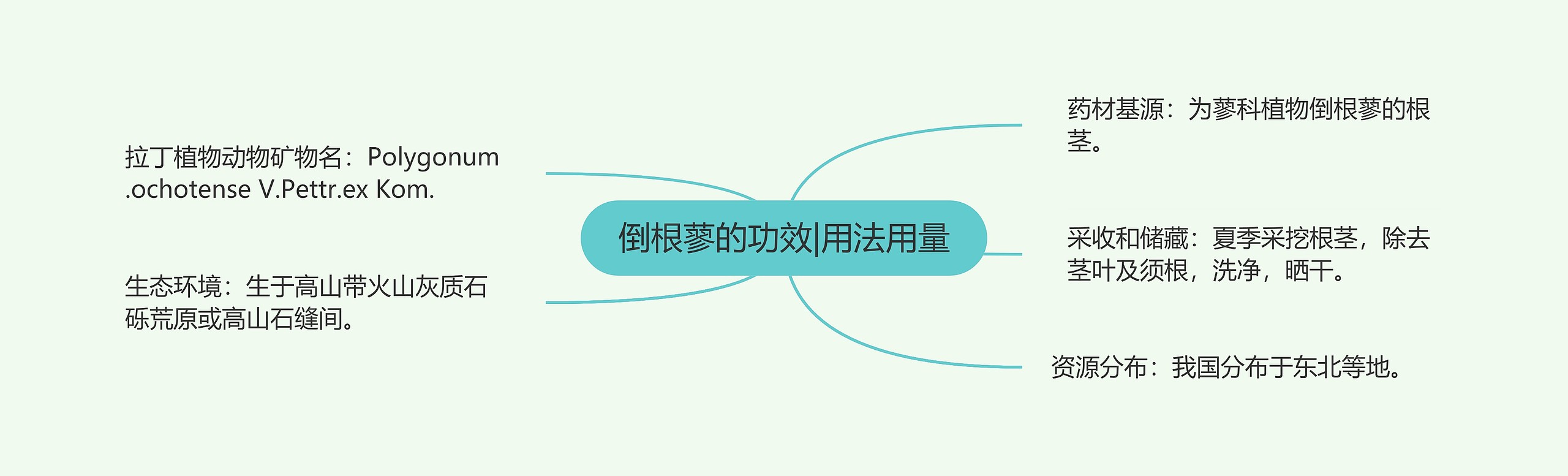 倒根蓼的功效|用法用量 倒根蓼的功效|用法用量