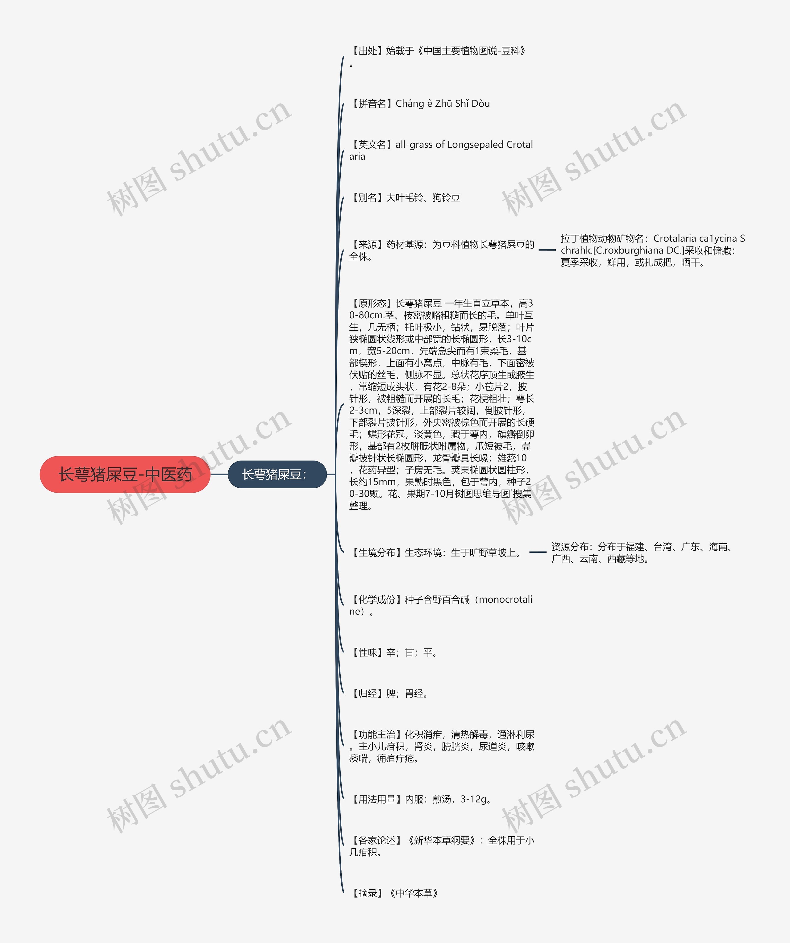 长萼猪屎豆-中医药思维导图