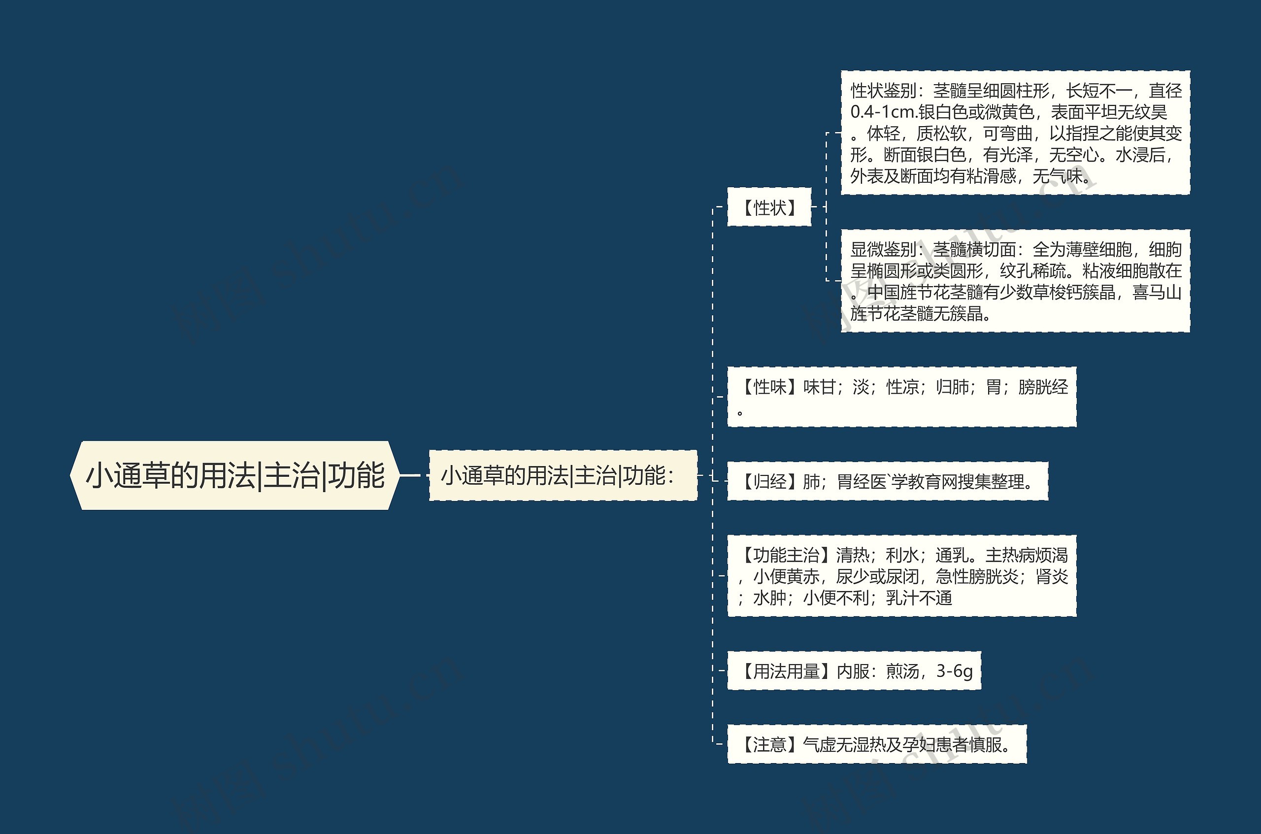 小通草的用法|主治|功能思维导图