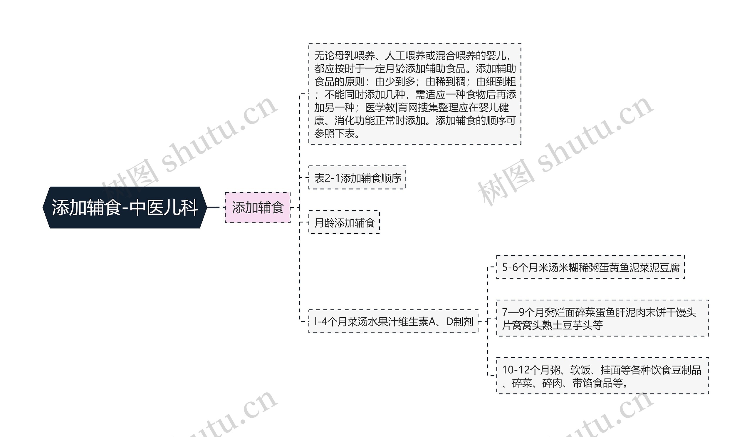 添加辅食-中医儿科思维导图