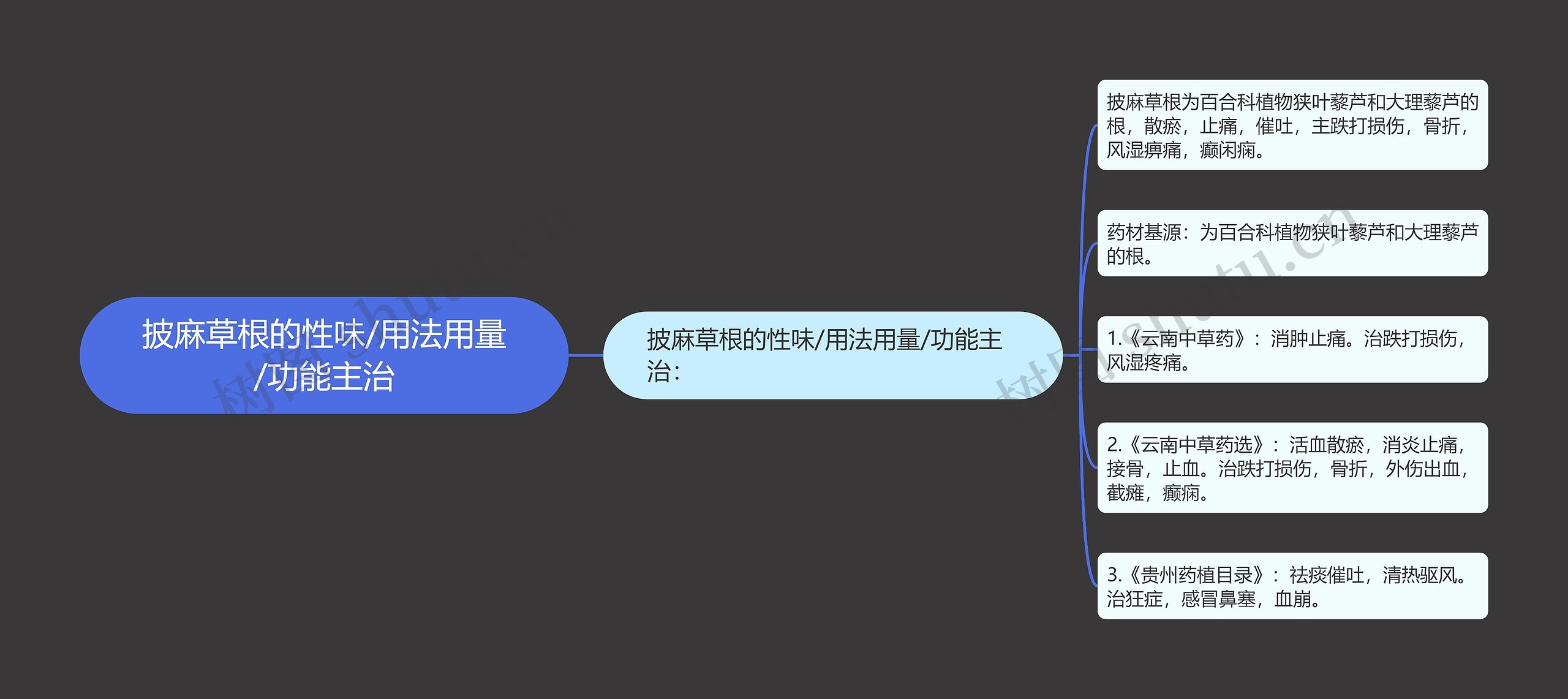 披麻草根的性味/用法用量/功能主治思维导图