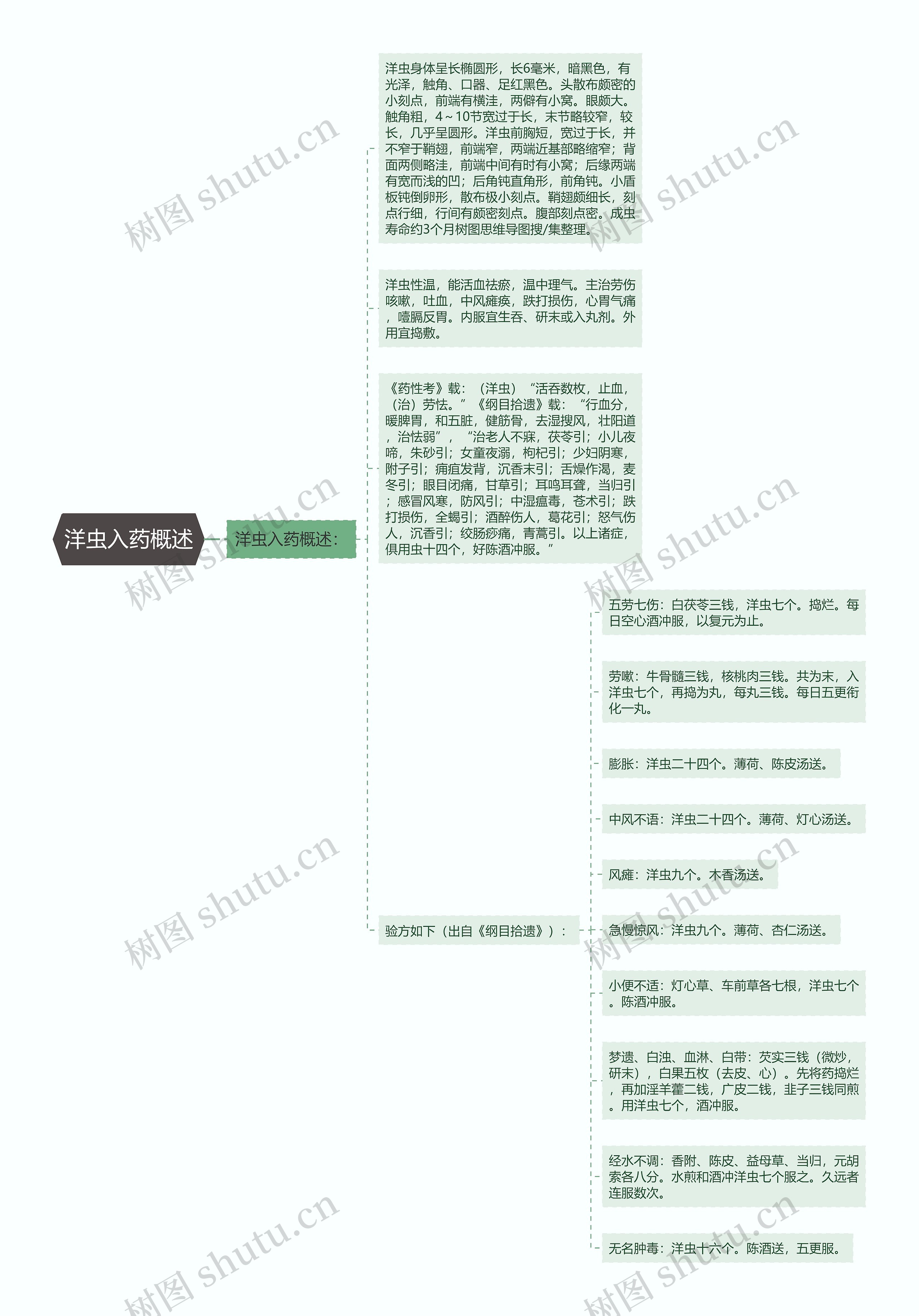 洋虫入药概述思维导图