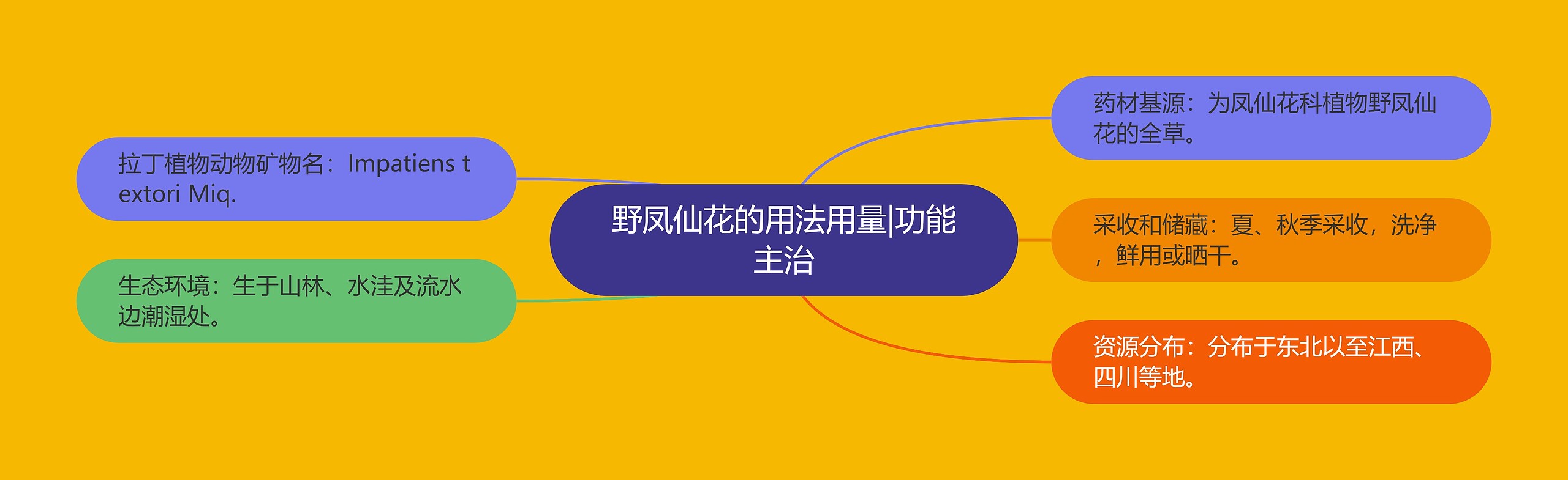 野凤仙花的用法用量|功能主治 野凤仙花的用法用量|功能主治