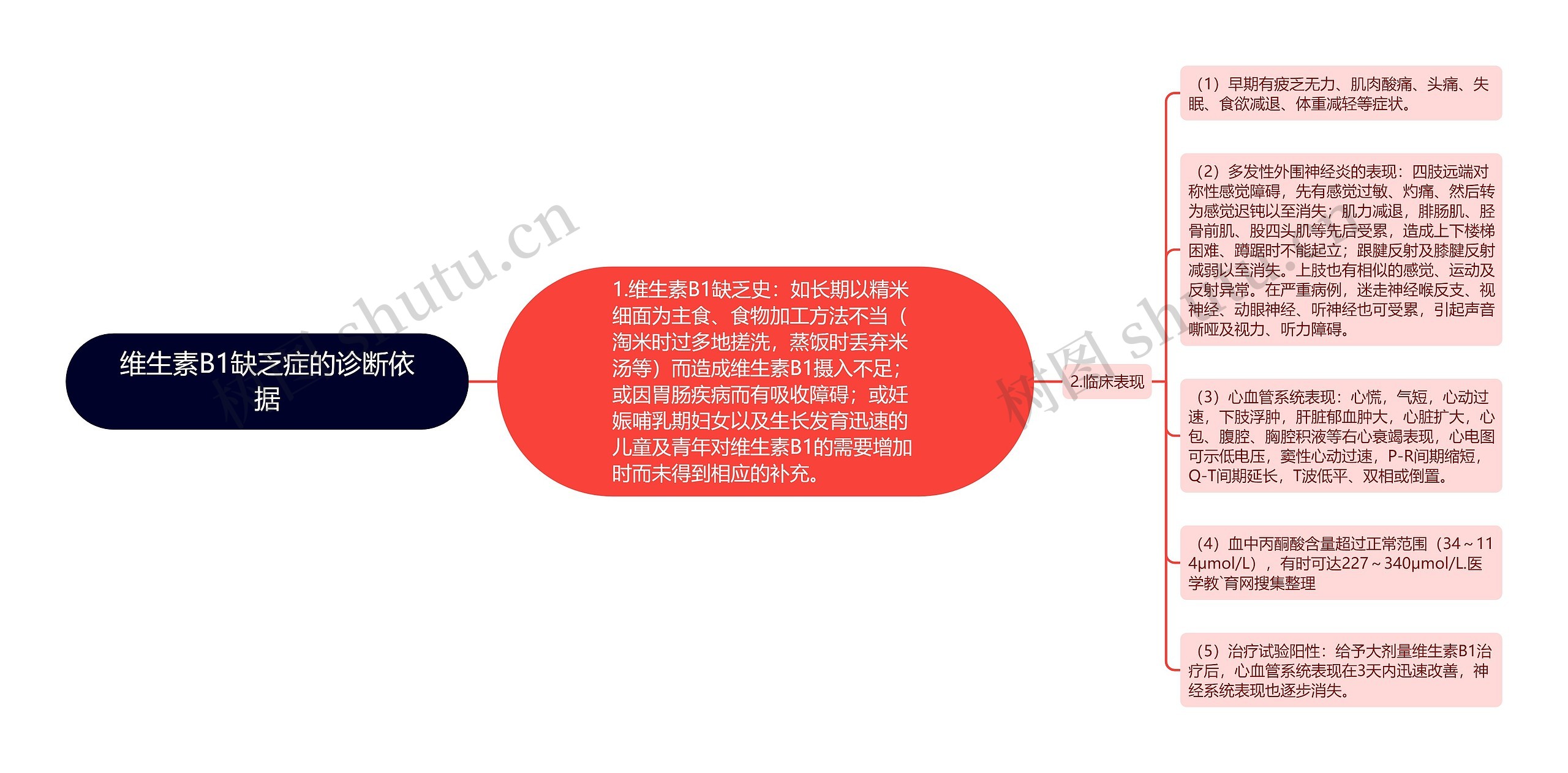 维生素B1缺乏症的诊断依据思维导图