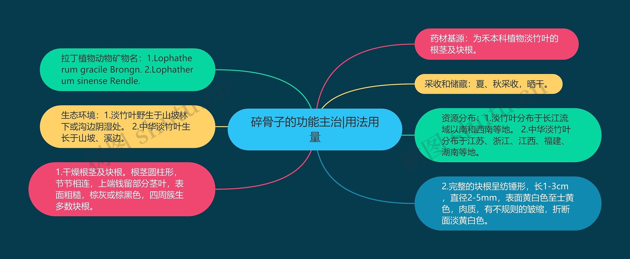 碎骨子的功能主治|用法用量 碎骨子的功能主治|用法用量