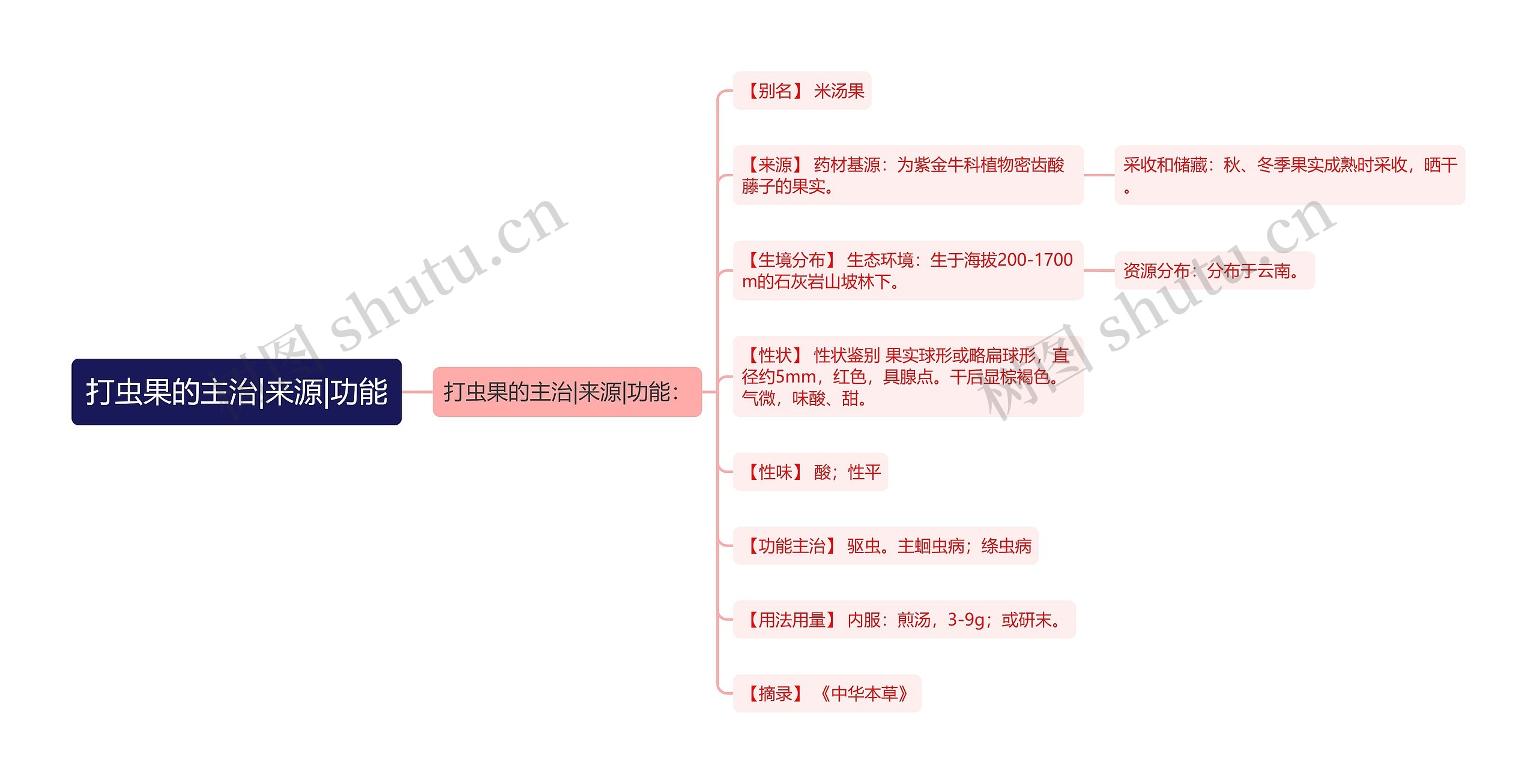 打虫果的主治|来源|功能 打虫果的主治|来源|功能