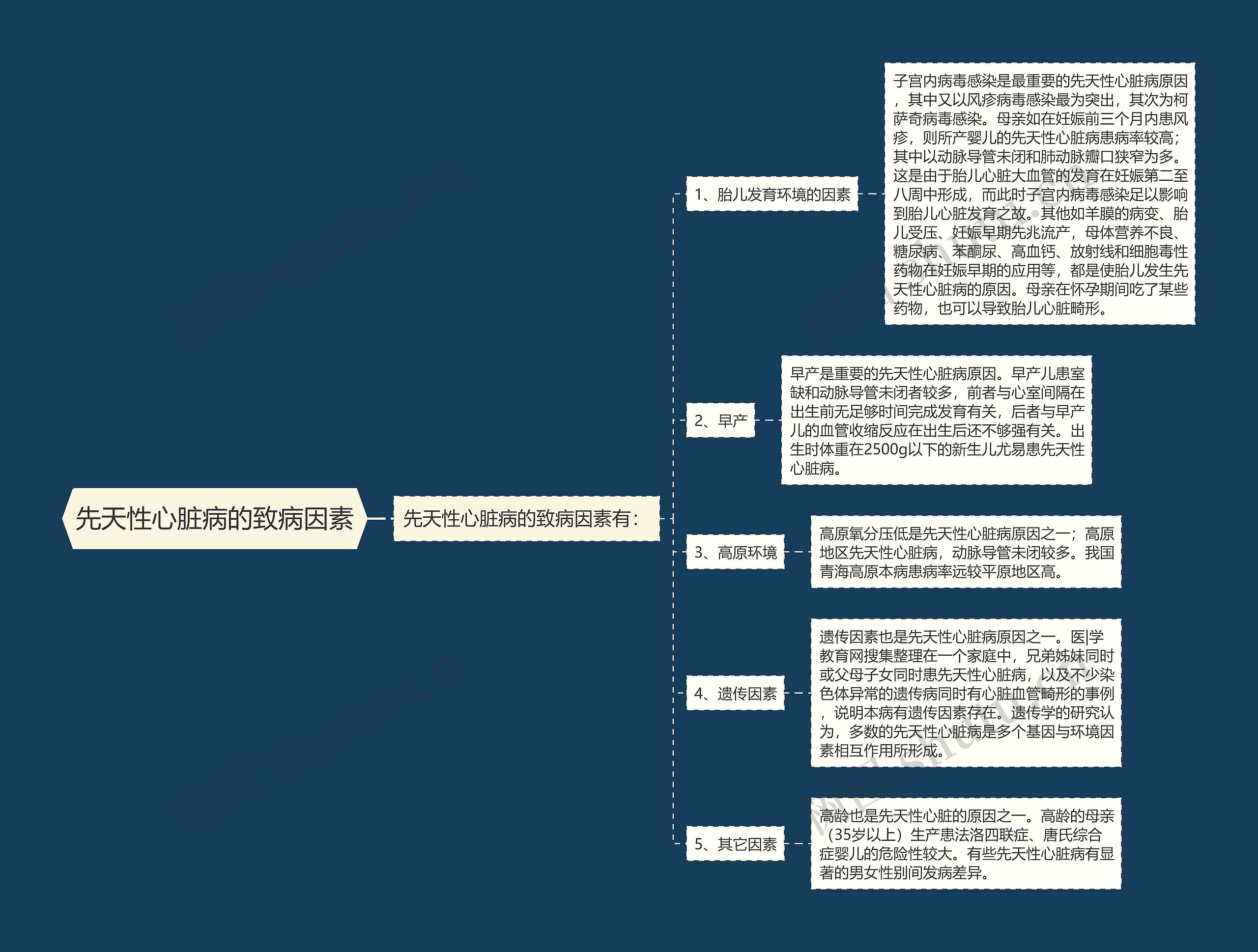 先天性心脏病的致病因素 先天性心脏病的致病因素