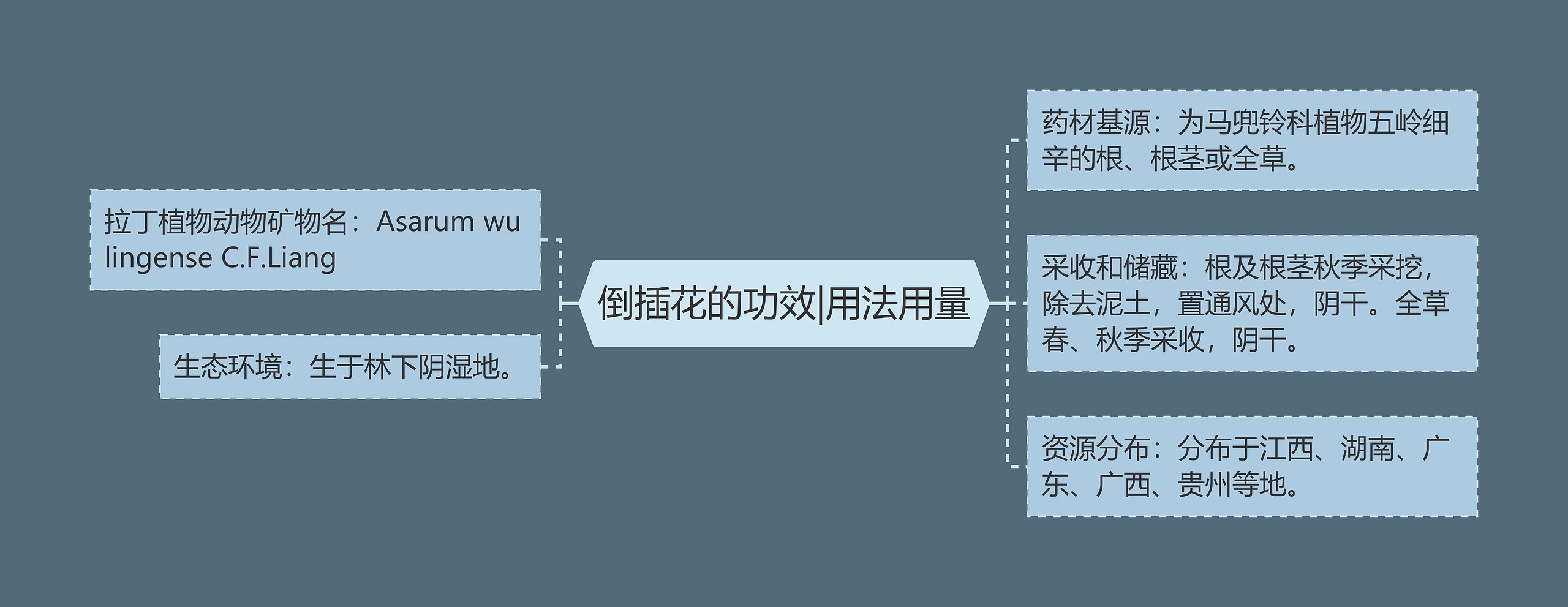 倒插花的功效|用法用量