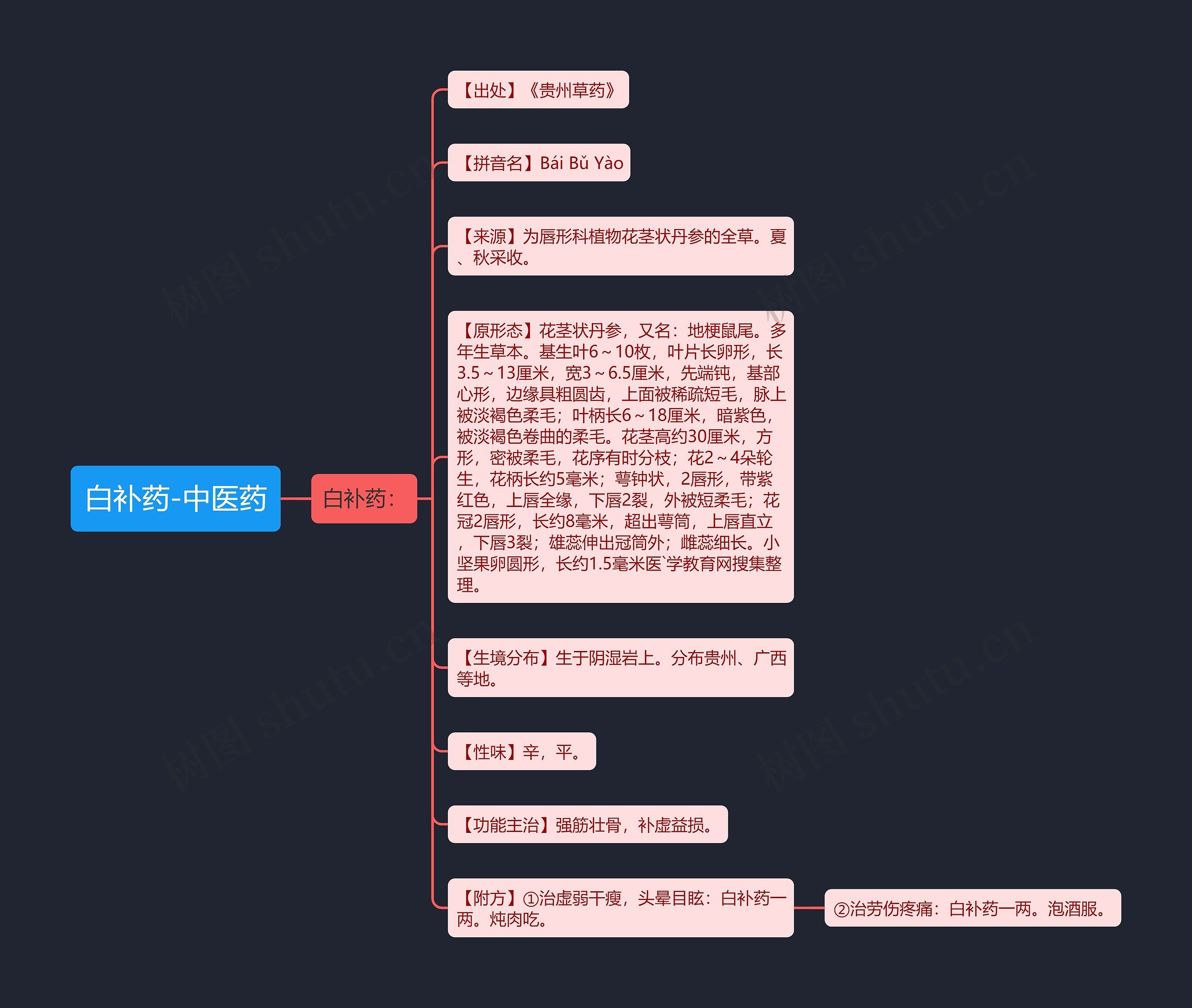 白补药-中医药思维导图