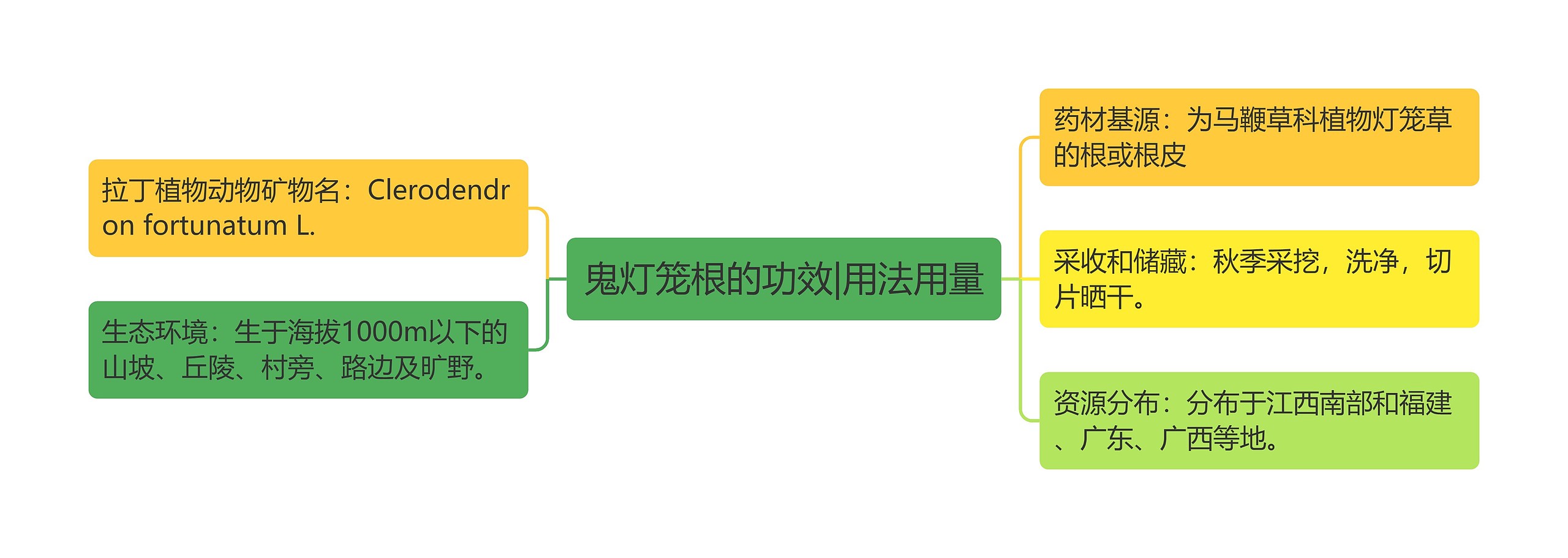 鬼灯笼根的功效|用法用量思维导图