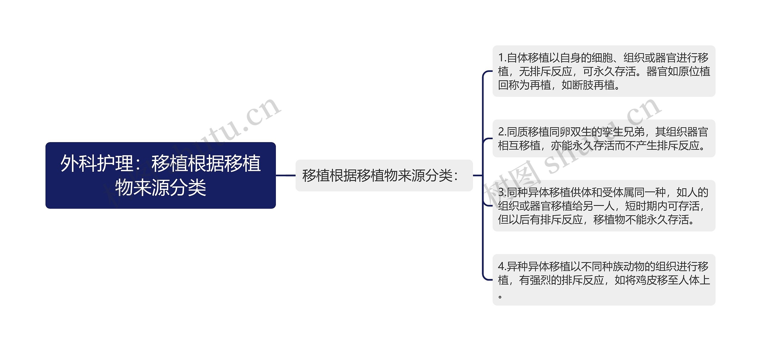 外科护理：移植根据移植物来源分类思维导图