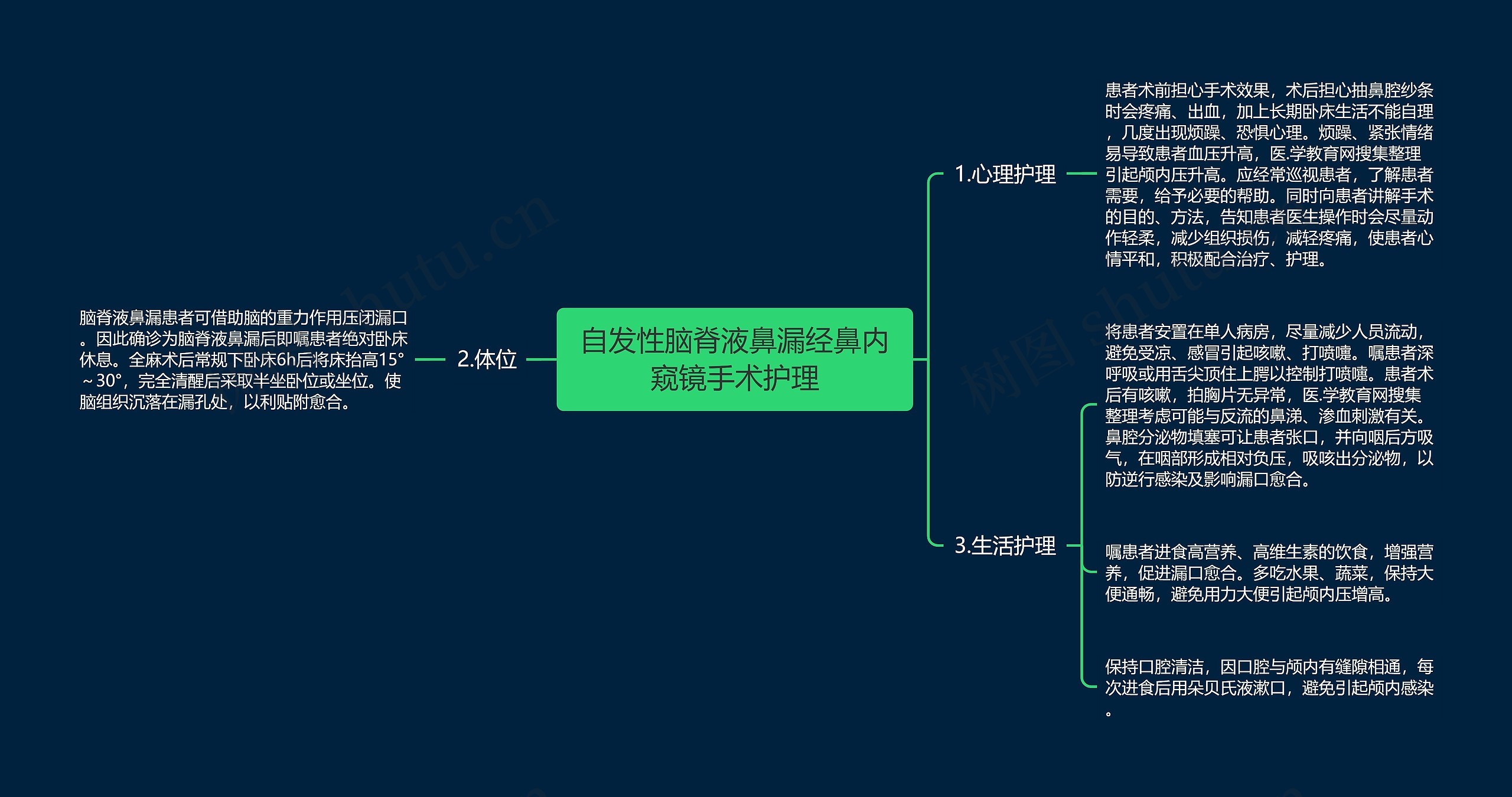 自发性脑脊液鼻漏经鼻内窥镜手术护理思维导图