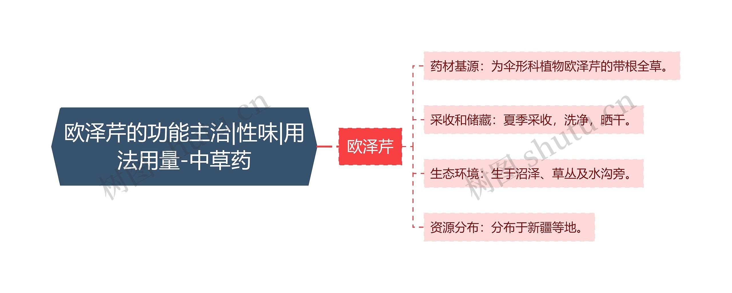 欧泽芹的功能主治|性味|用法用量-中草药思维导图