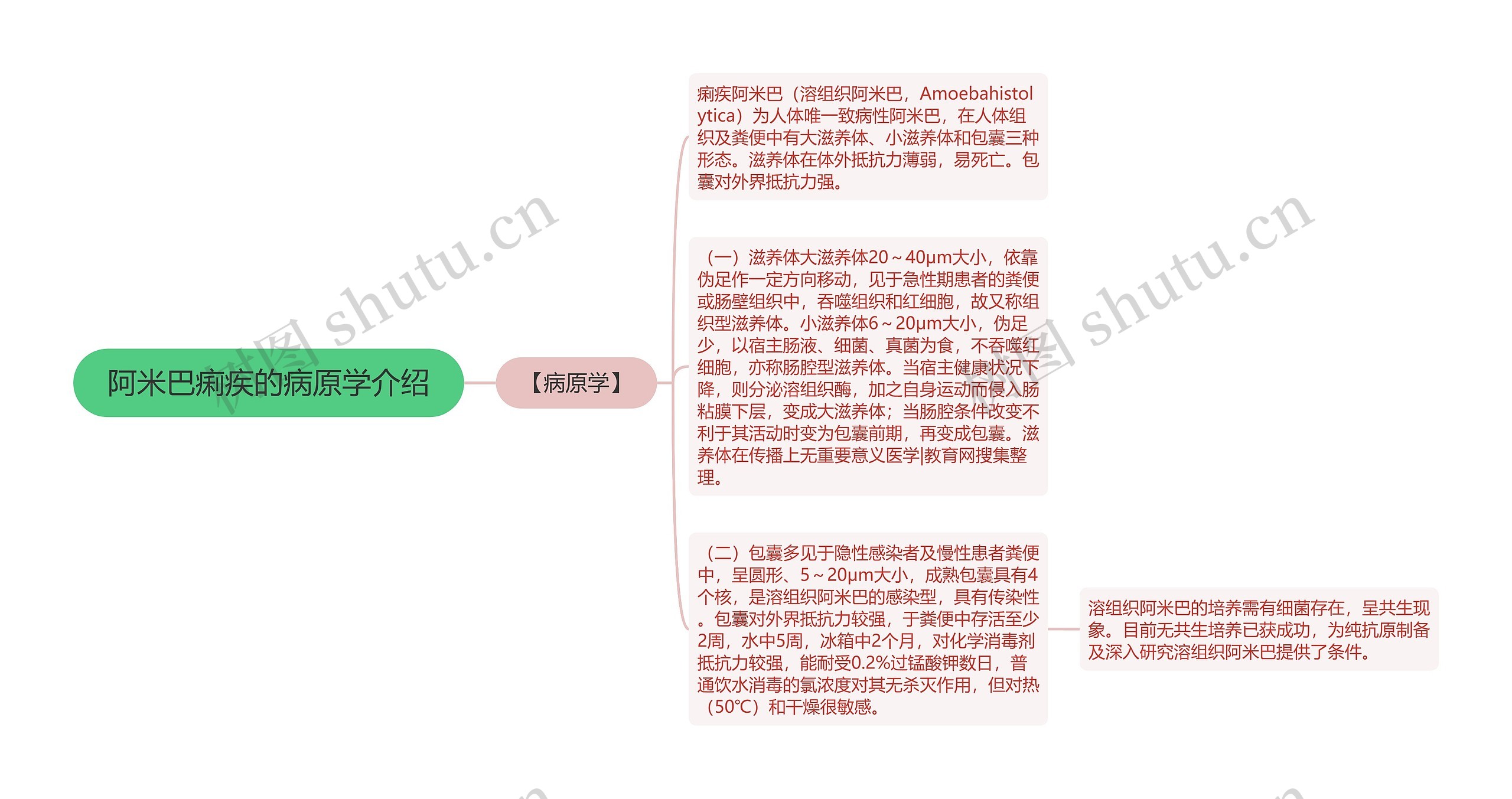 阿米巴痢疾的病原学介绍