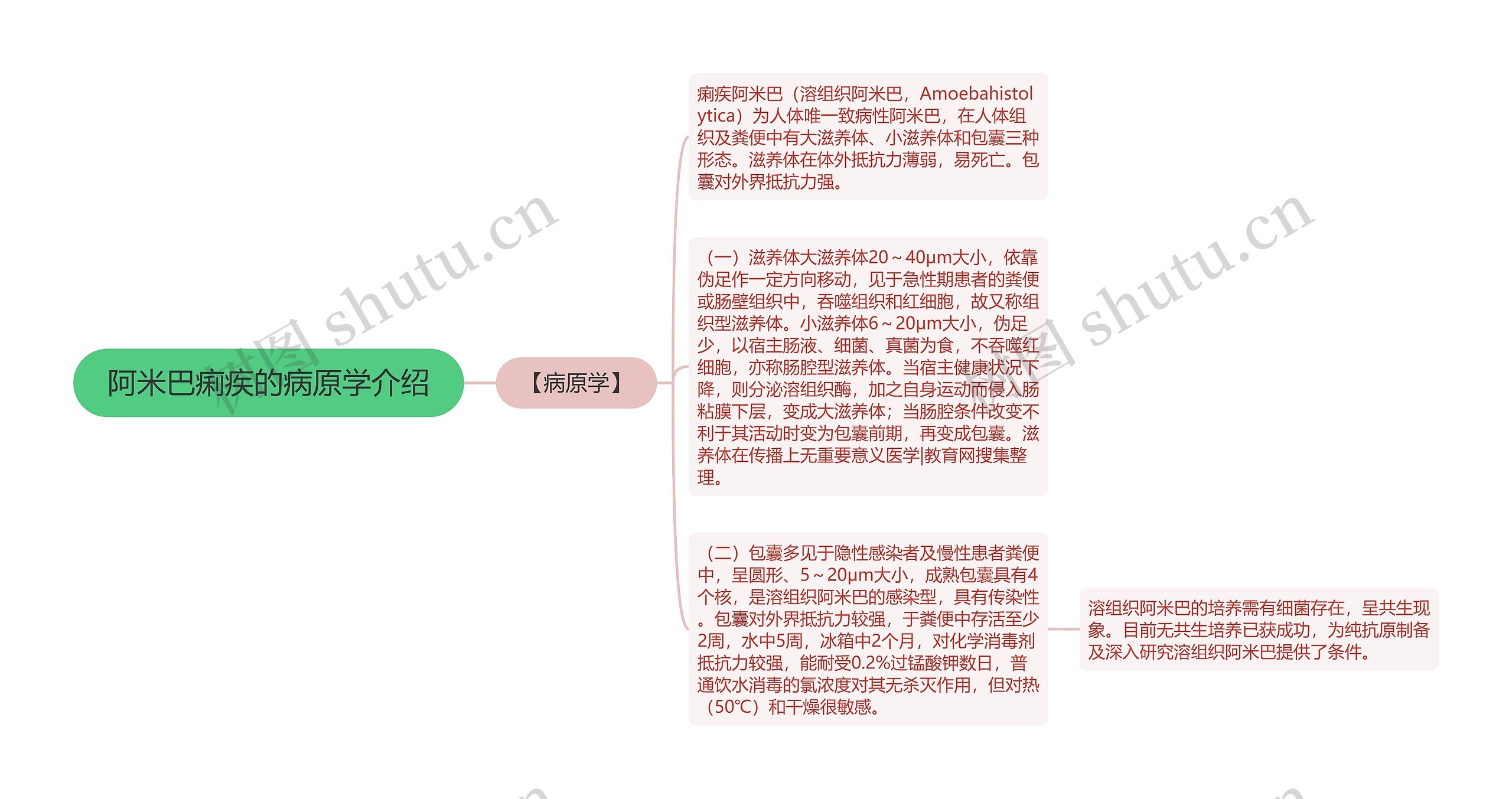 阿米巴痢疾的病原学介绍思维导图