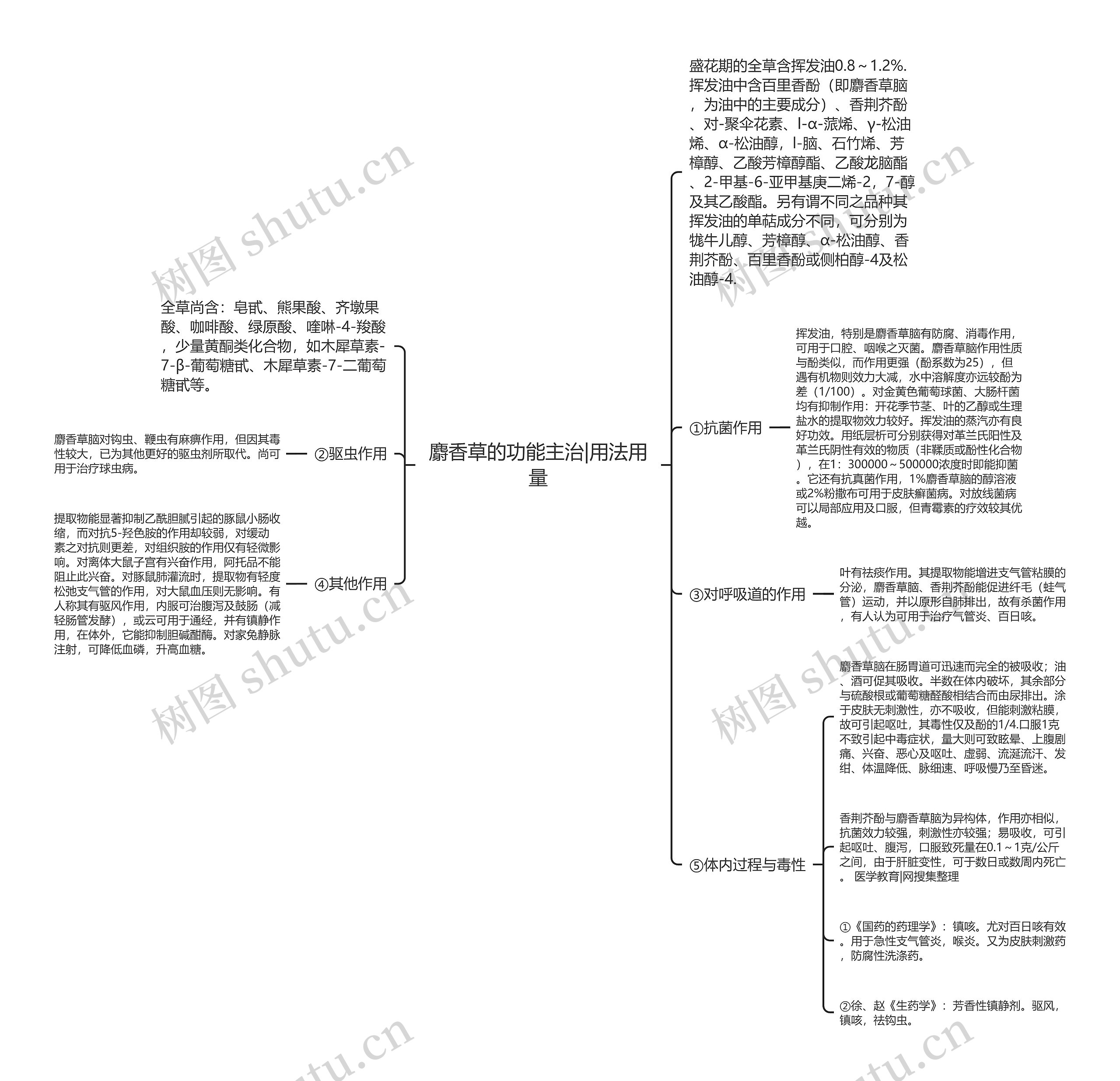 麝香草的功能主治|用法用量 麝香草的功能主治|用法用量