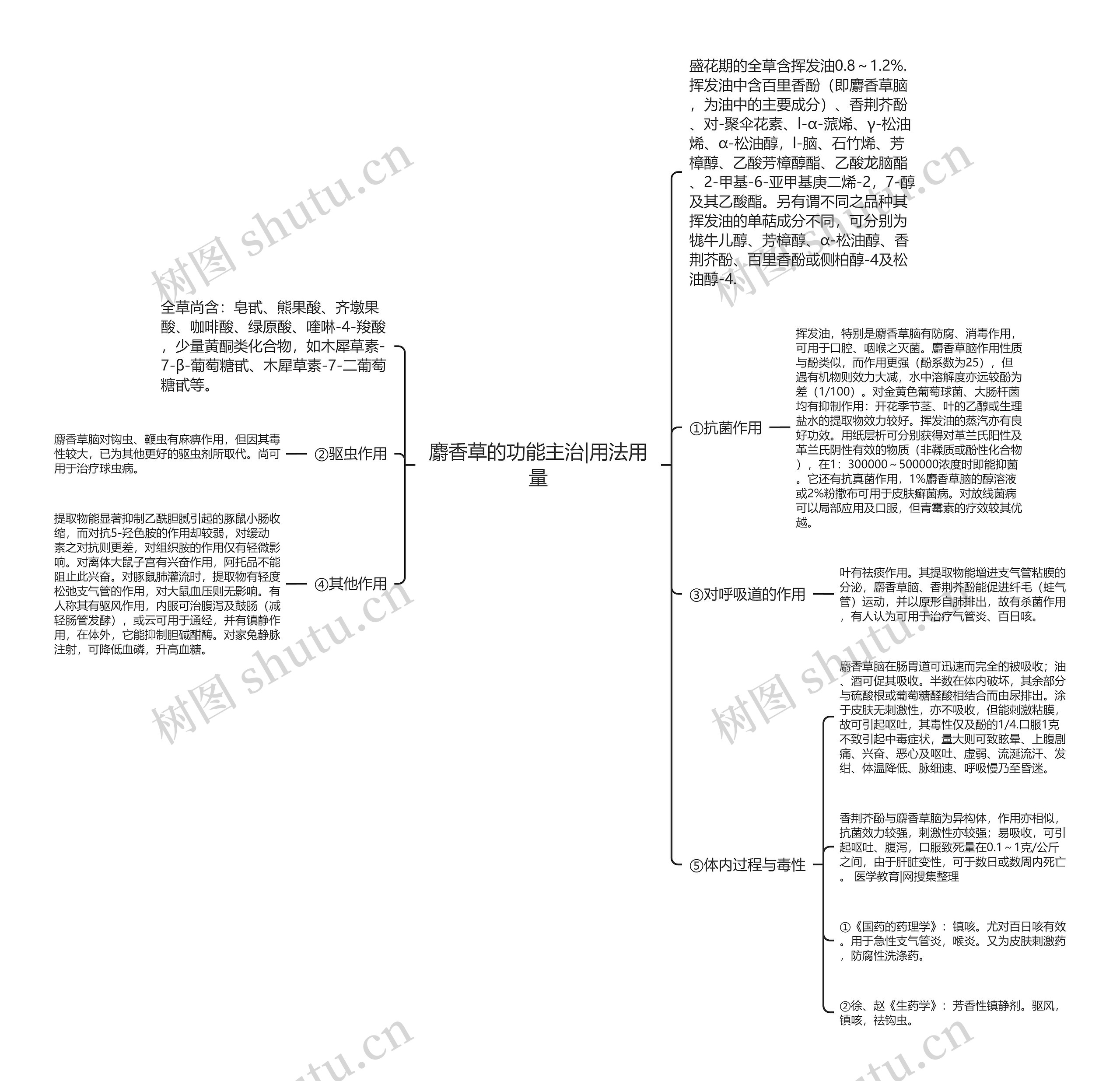 麝香草的功能主治|用法用量思维导图