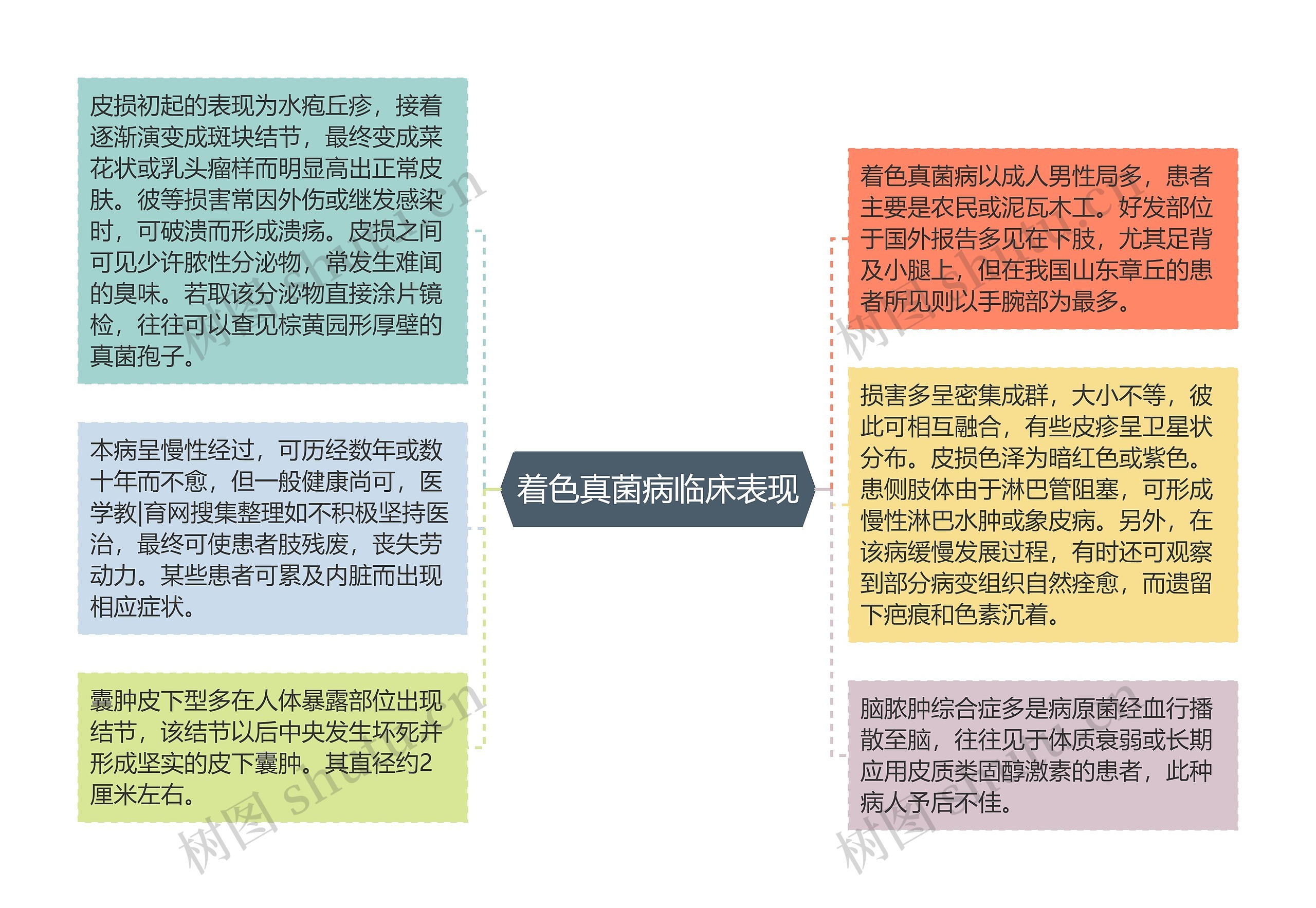 着色真菌病临床表现思维导图