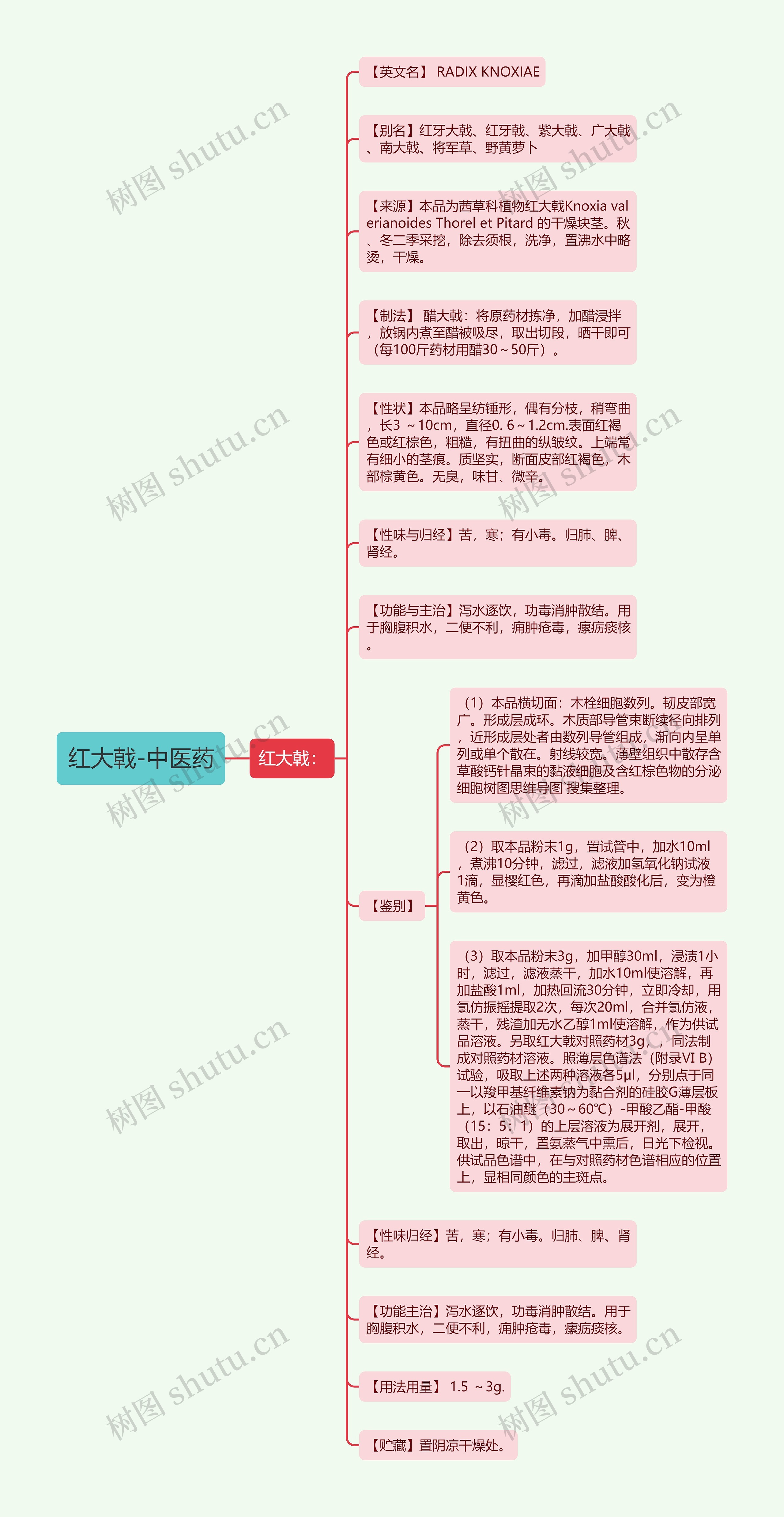 红大戟-中医药思维导图