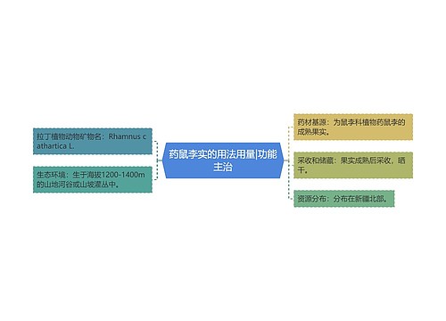 药鼠李实的用法用量|功能主治