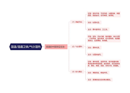 湿温/湿遏卫表/气分湿热