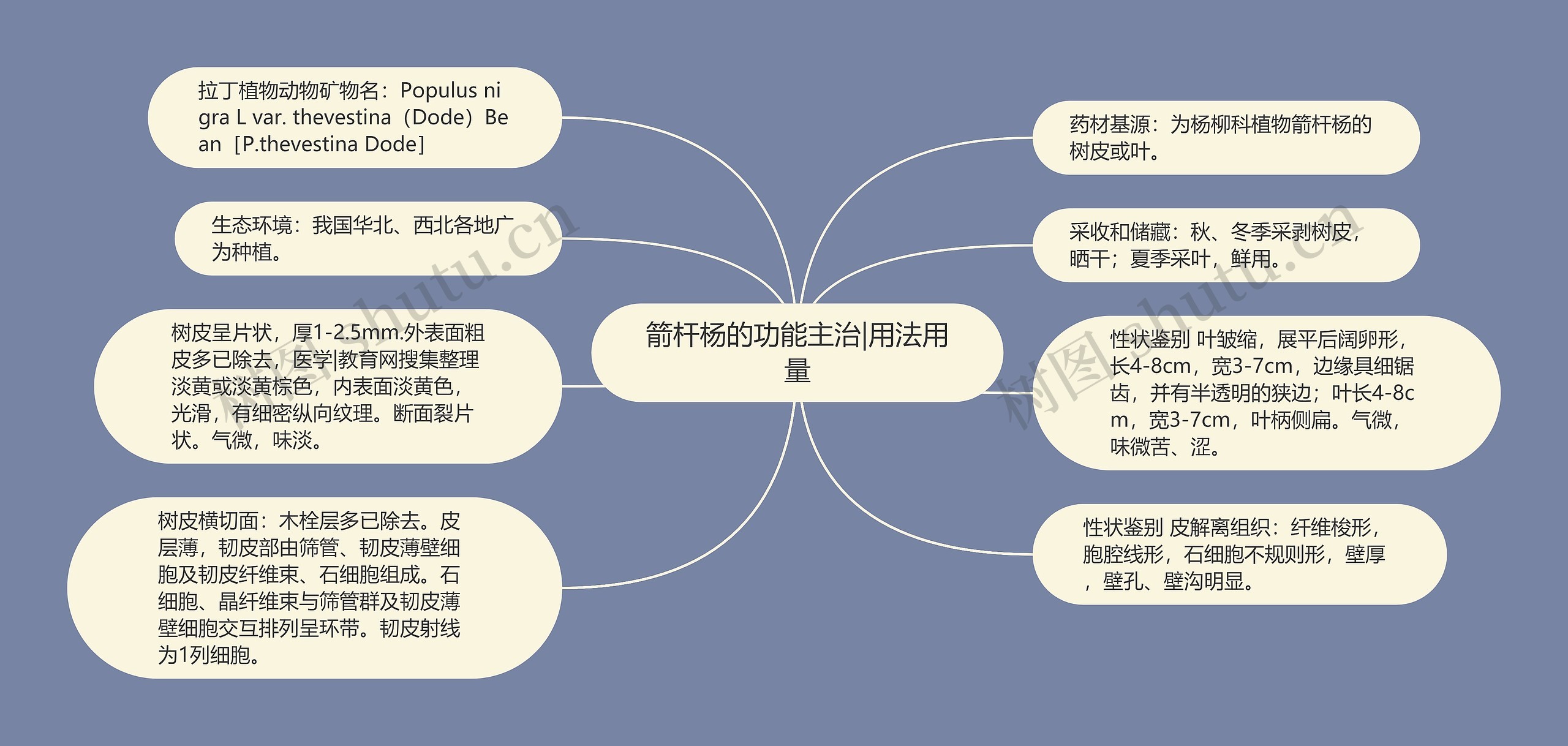 箭杆杨的功能主治|用法用量