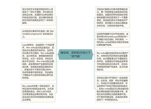 糖尿病、肥胖的内部分子“调节器”