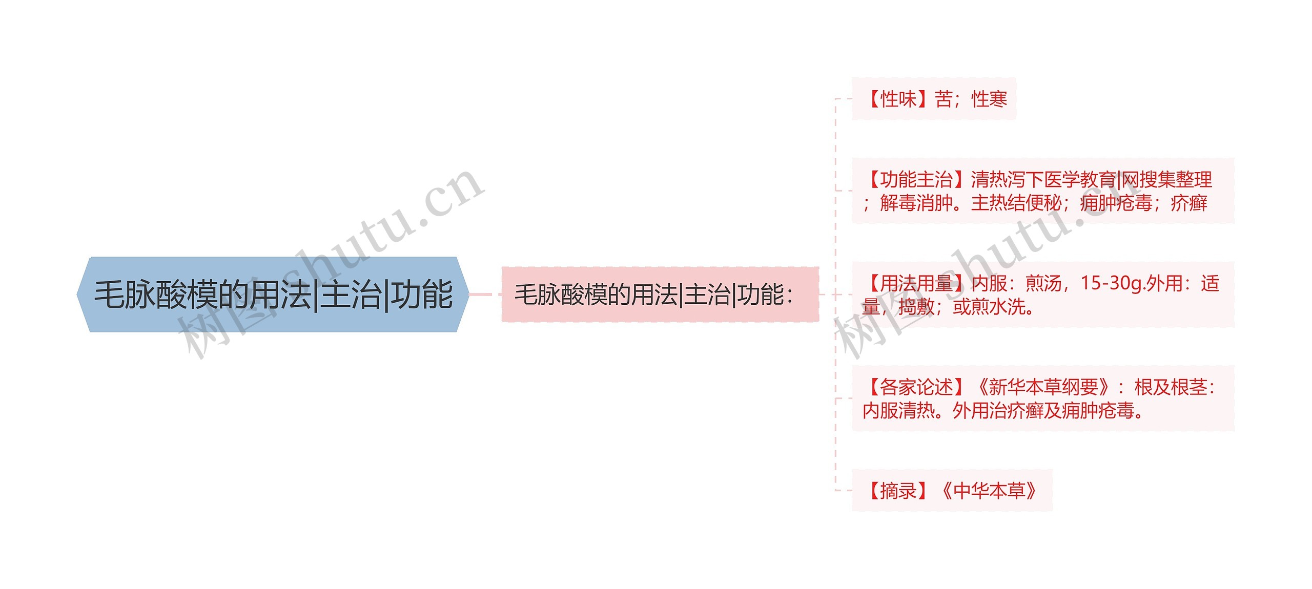 毛脉酸模的用法|主治|功能思维导图