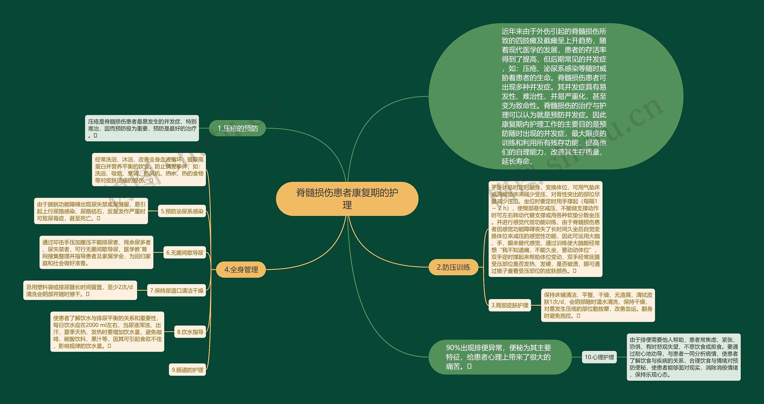 脊髓损伤患者康复期的护理思维导图