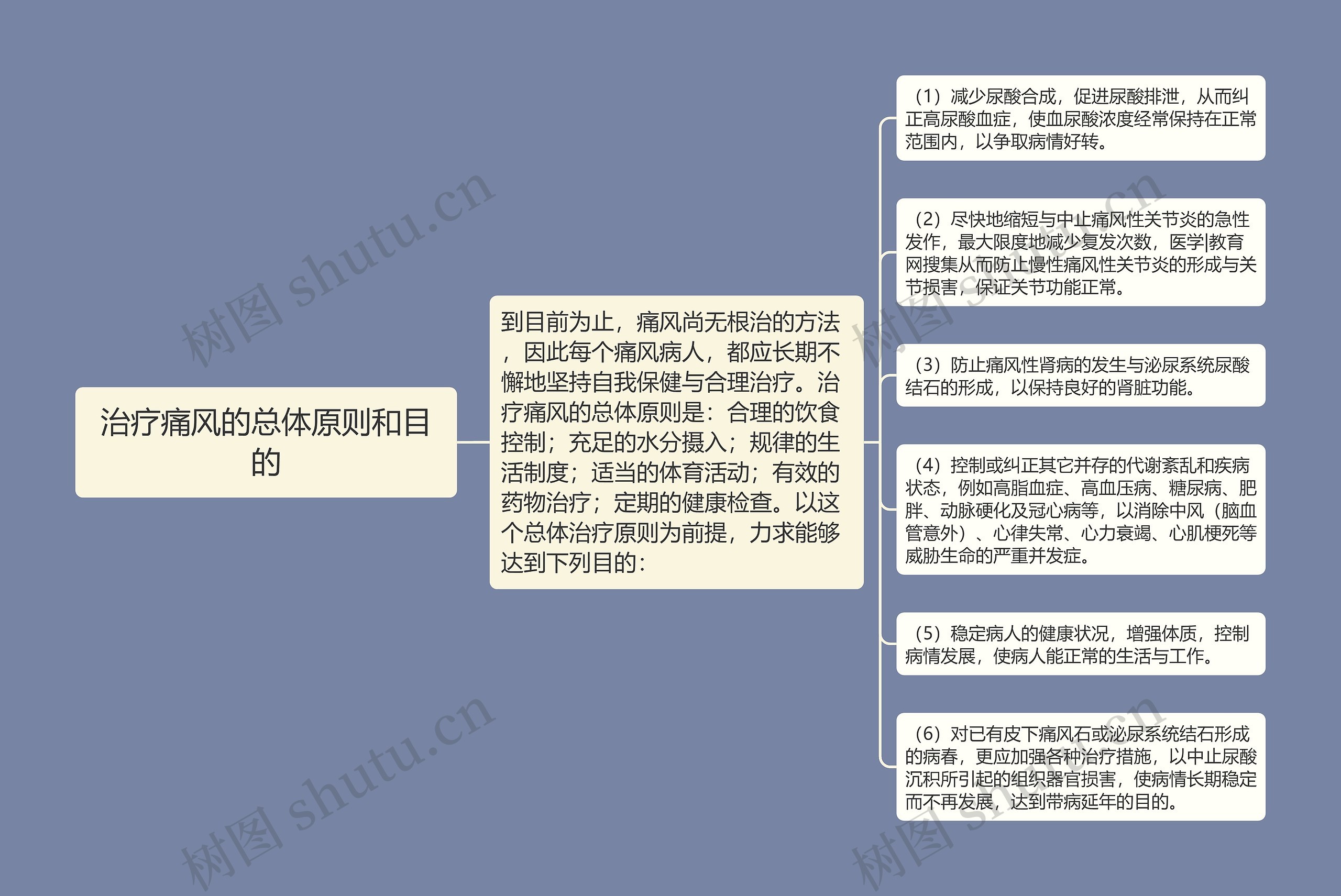 治疗痛风的总体原则和目的思维导图