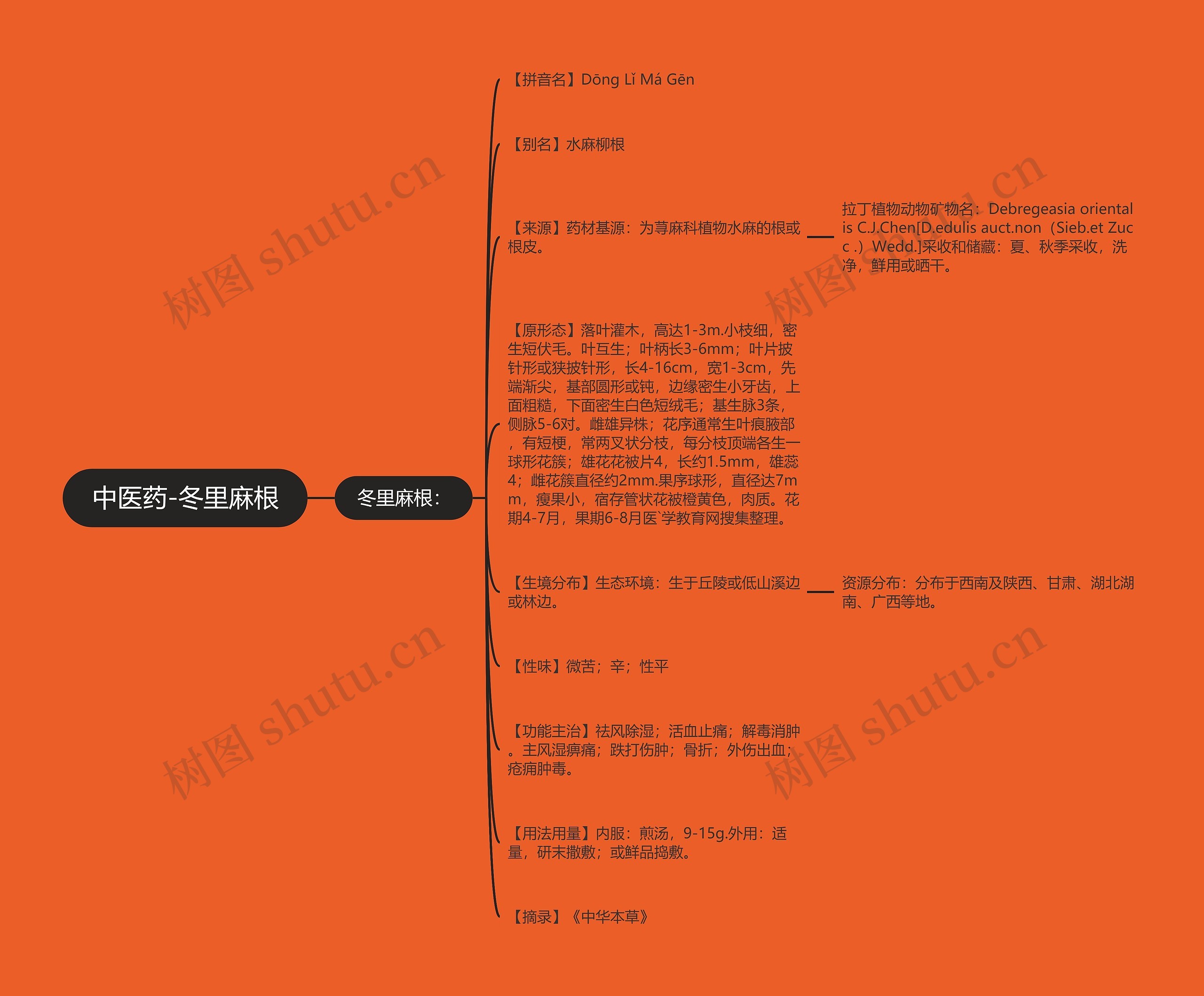 中医药-冬里麻根思维导图