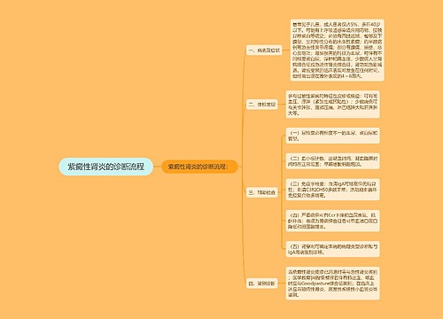 紫癜性肾炎的诊断流程