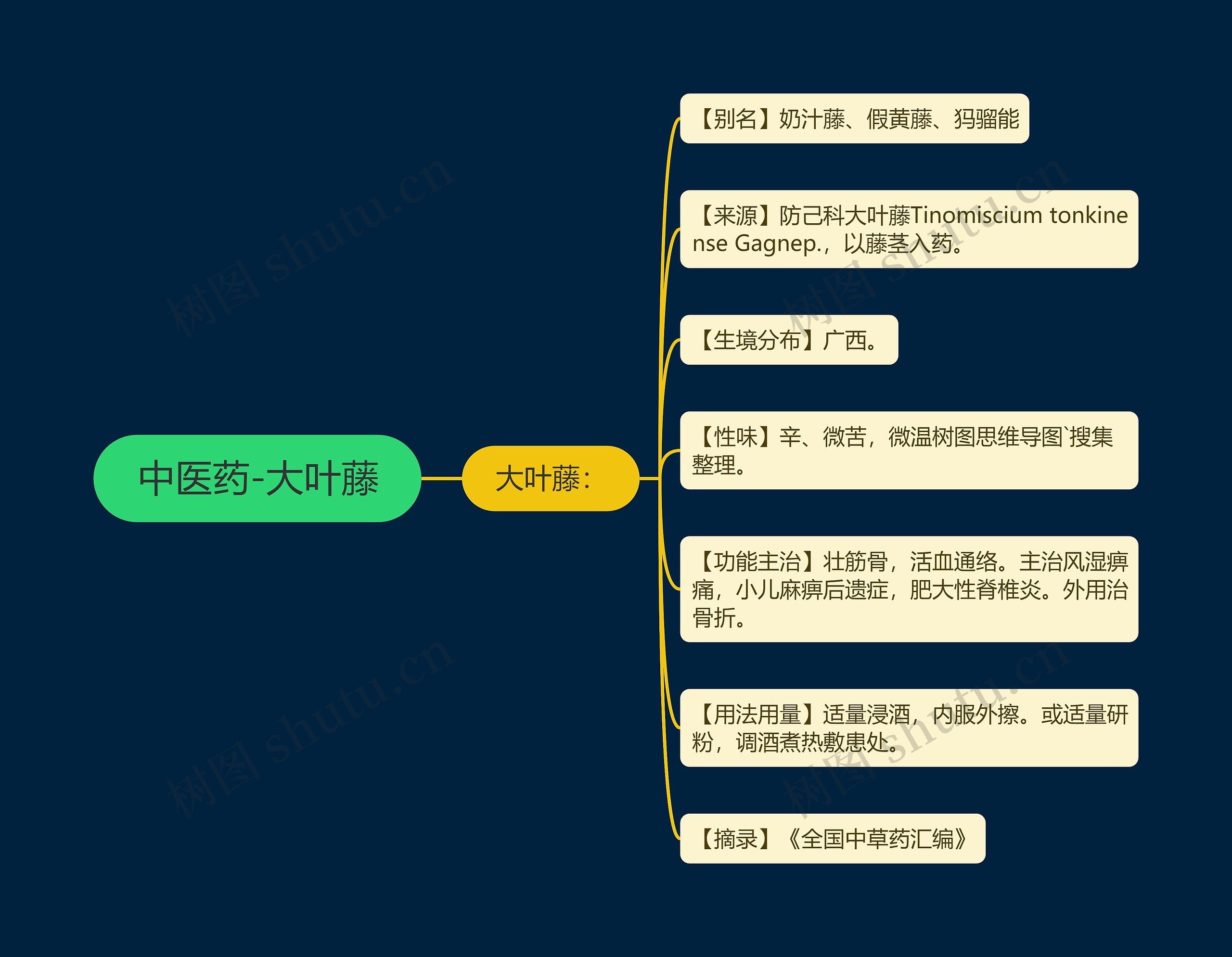 中医药-大叶藤思维导图