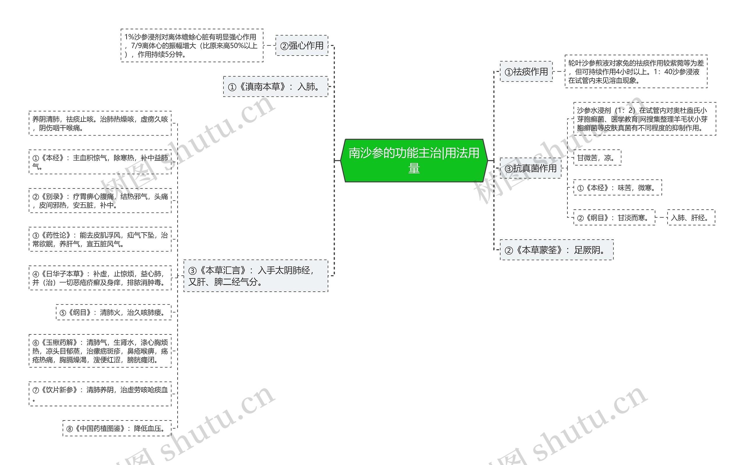 南沙参的功能主治|用法用量