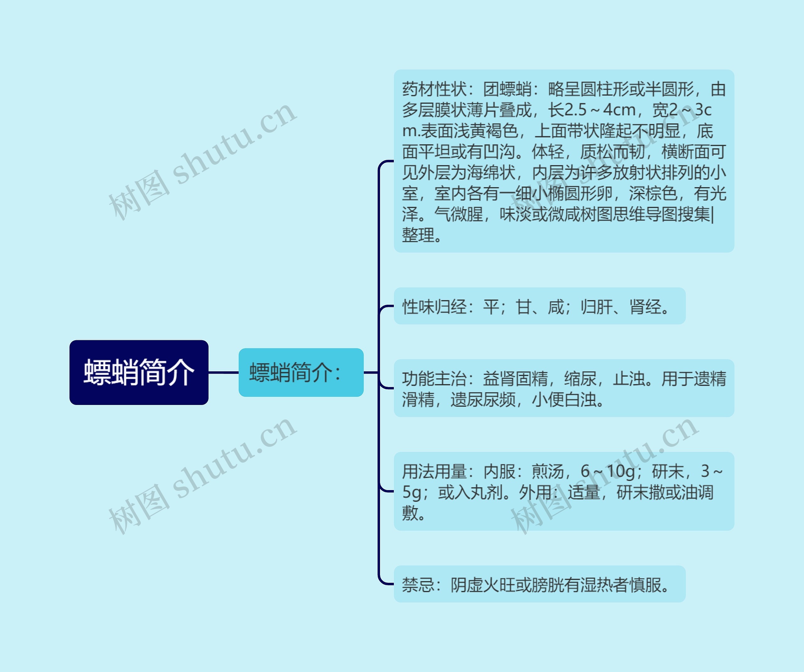 螵蛸简介思维导图