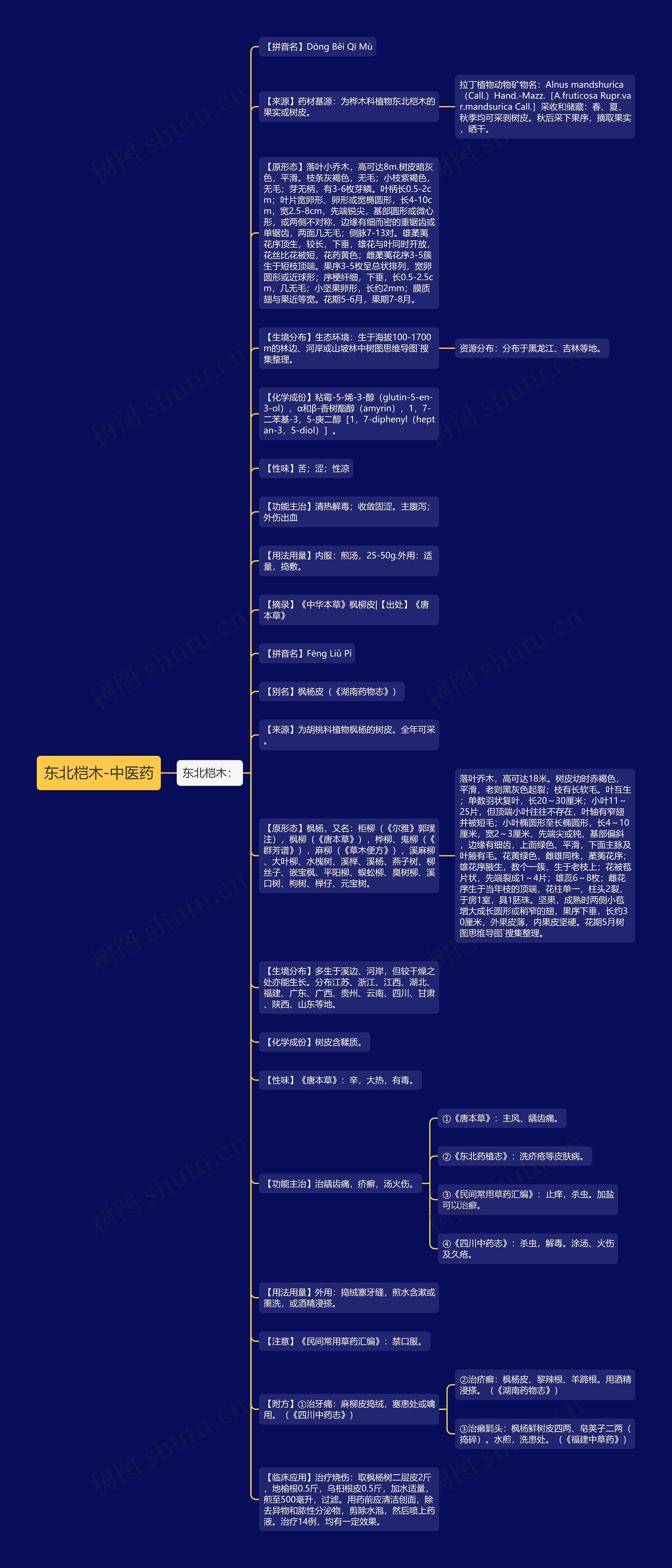 东北桤木-中医药思维导图