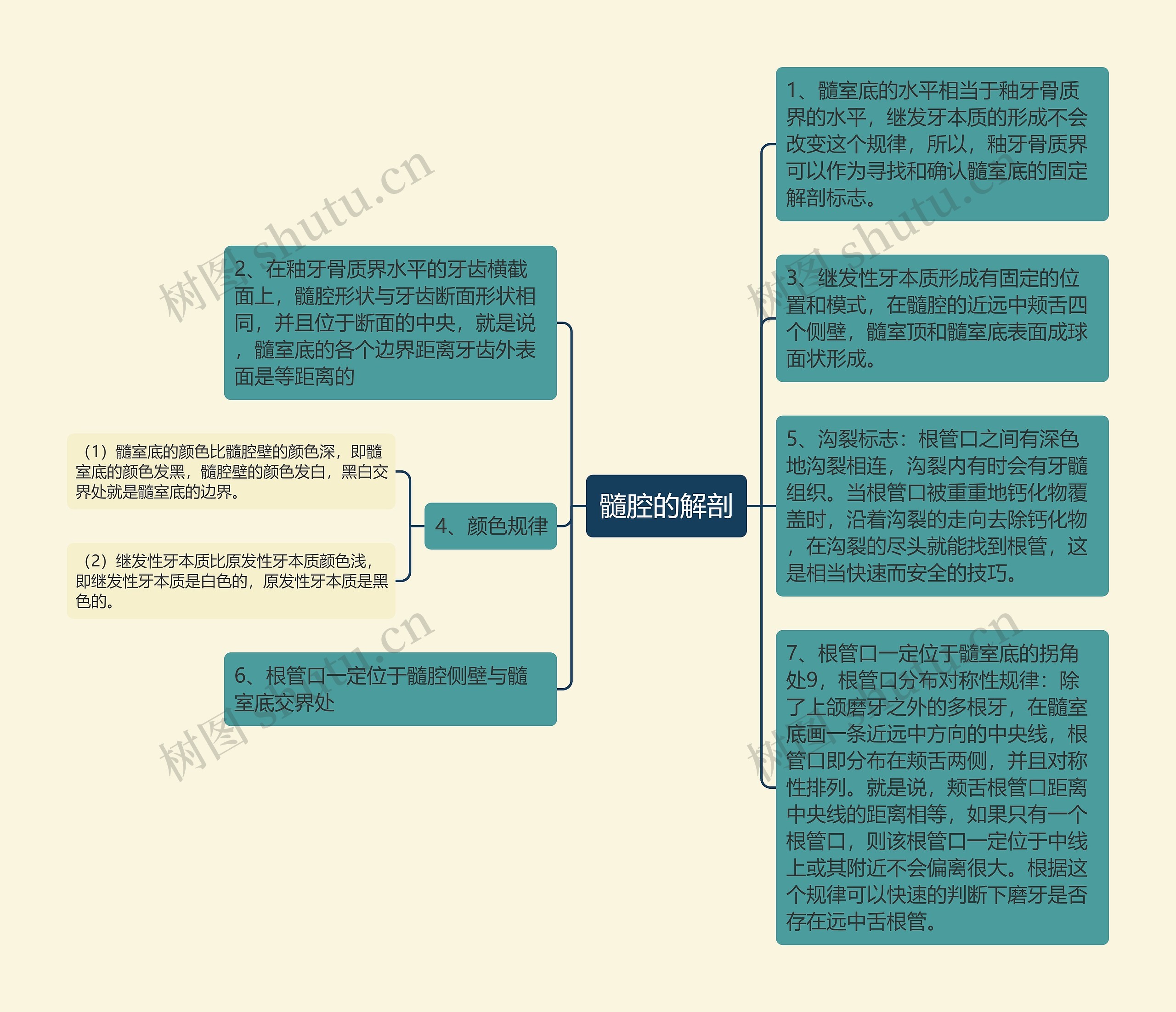 髓腔的解剖思维导图